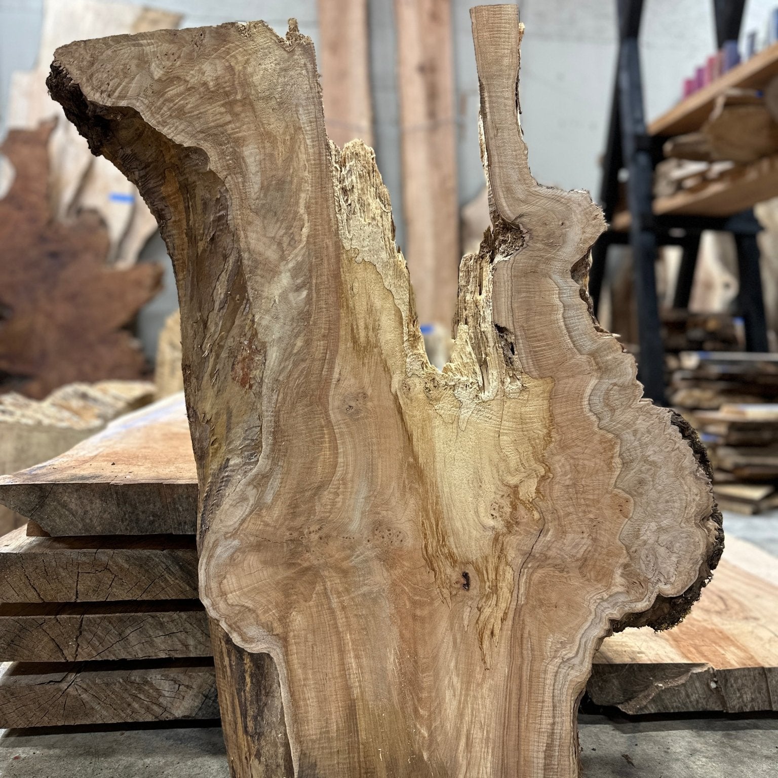 LiveEdge Big Leaf Maple Slab | Big Leaf Maple | Hamilton Lee Supply