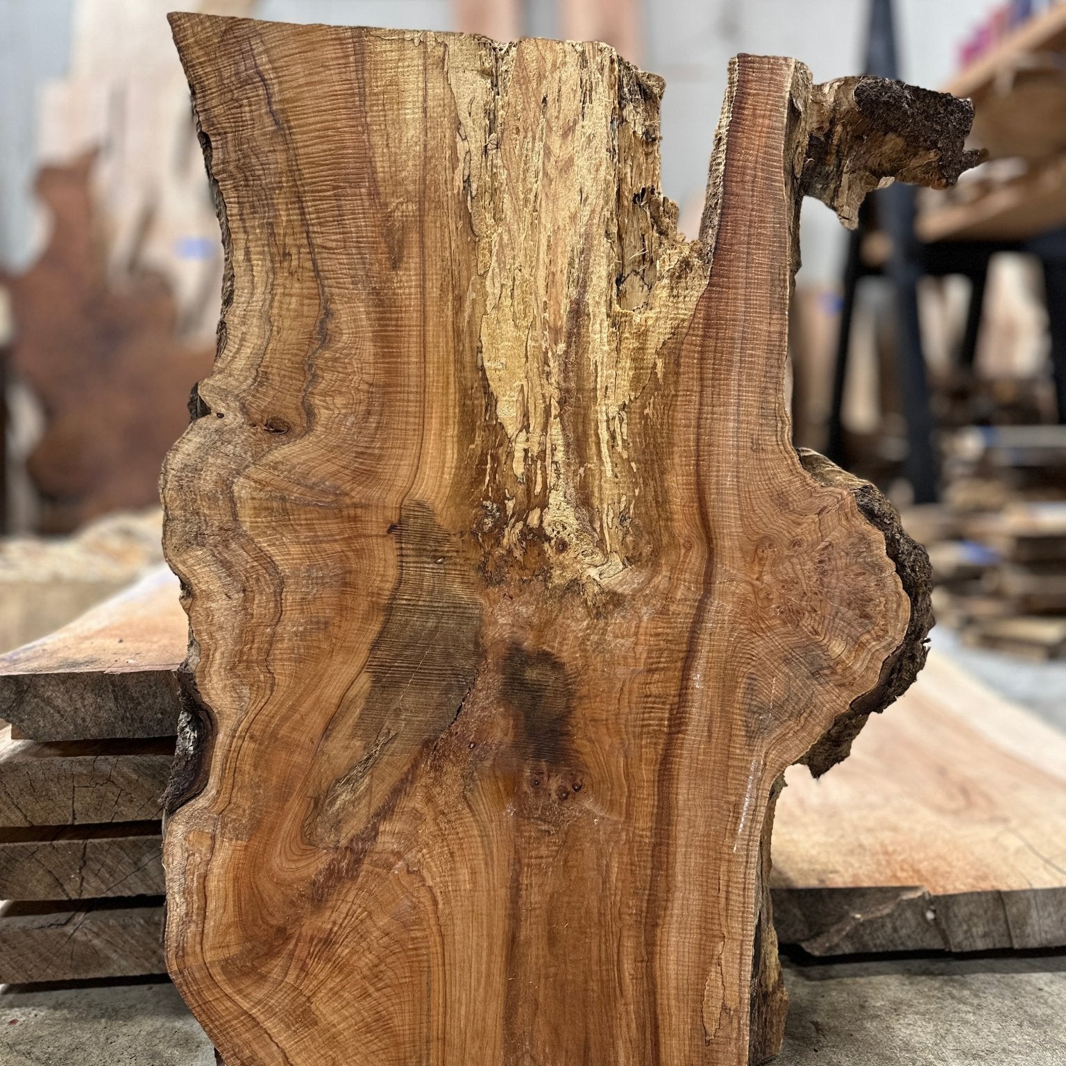 LiveEdge Big Leaf Maple Slab | Big Leaf Maple | Hamilton Lee Supply