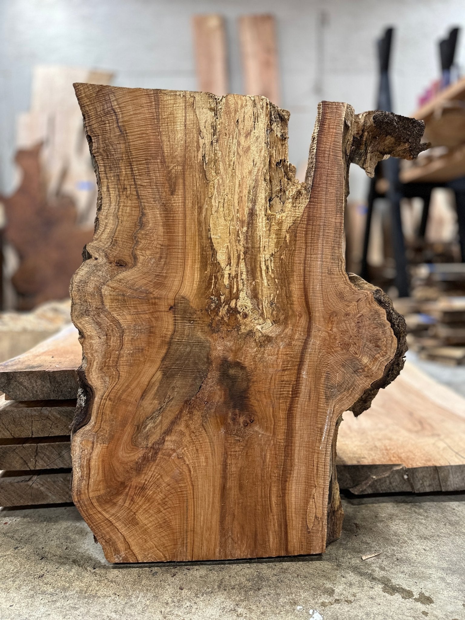 LiveEdge Big Leaf Maple Slab | Big Leaf Maple | Hamilton Lee Supply