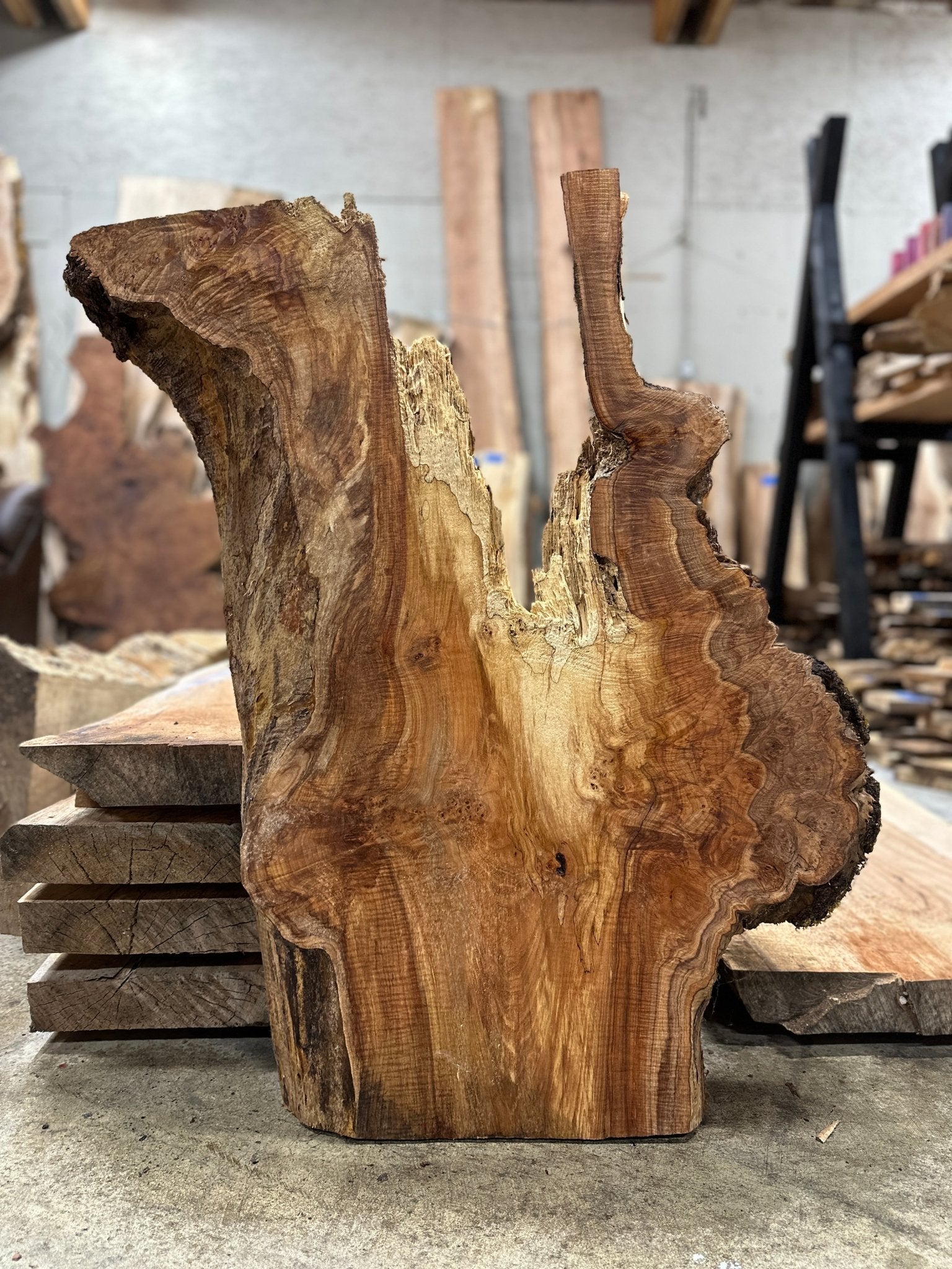 LiveEdge Big Leaf Maple Slab | Big Leaf Maple | Hamilton Lee Supply