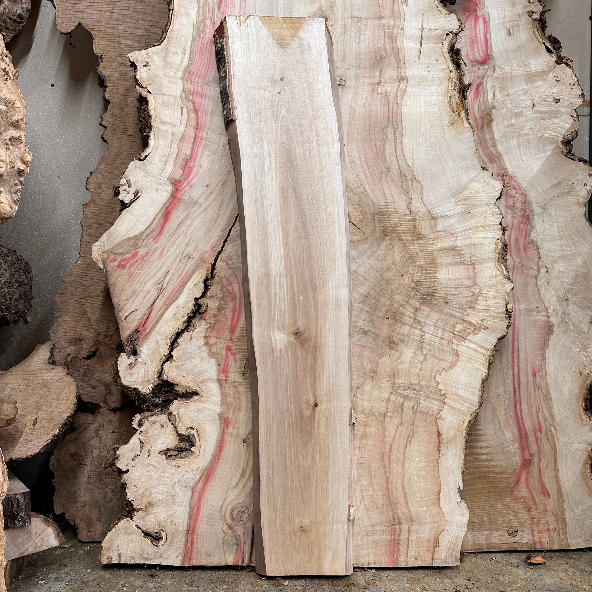 LiveEdge Birch | Birch | Hamilton Lee Supply