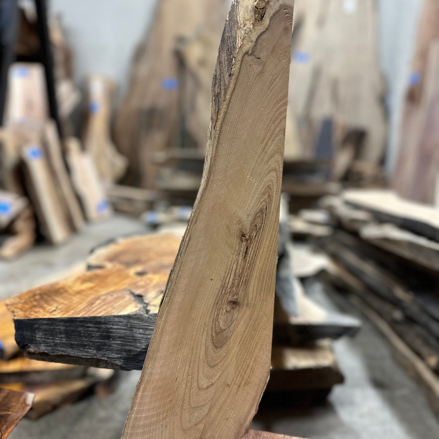 LiveEdge Black Locust | Black Locust | Hamilton Lee Supply