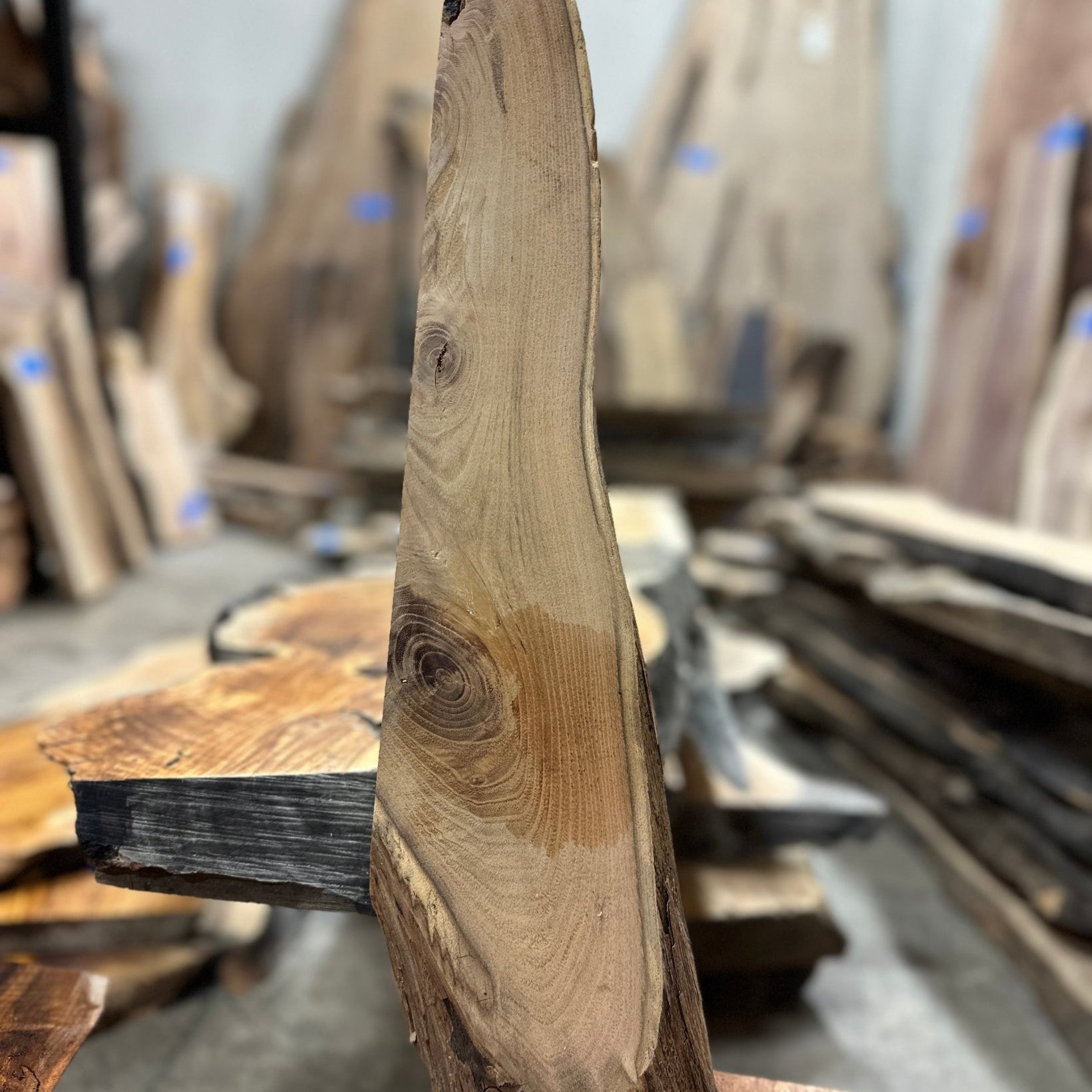 LiveEdge Black Locust | Black Locust | Hamilton Lee Supply
