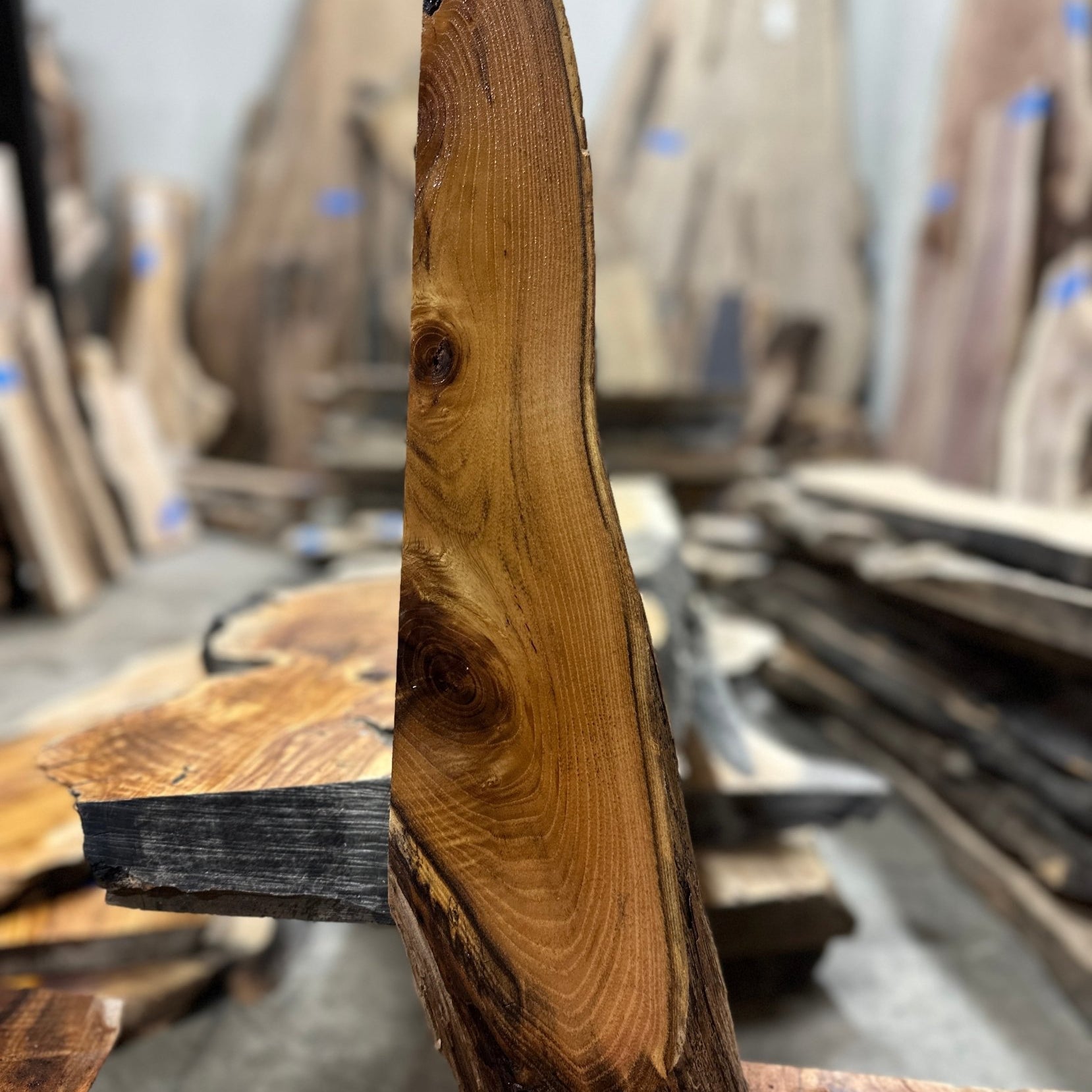 LiveEdge Black Locust | Black Locust | Hamilton Lee Supply