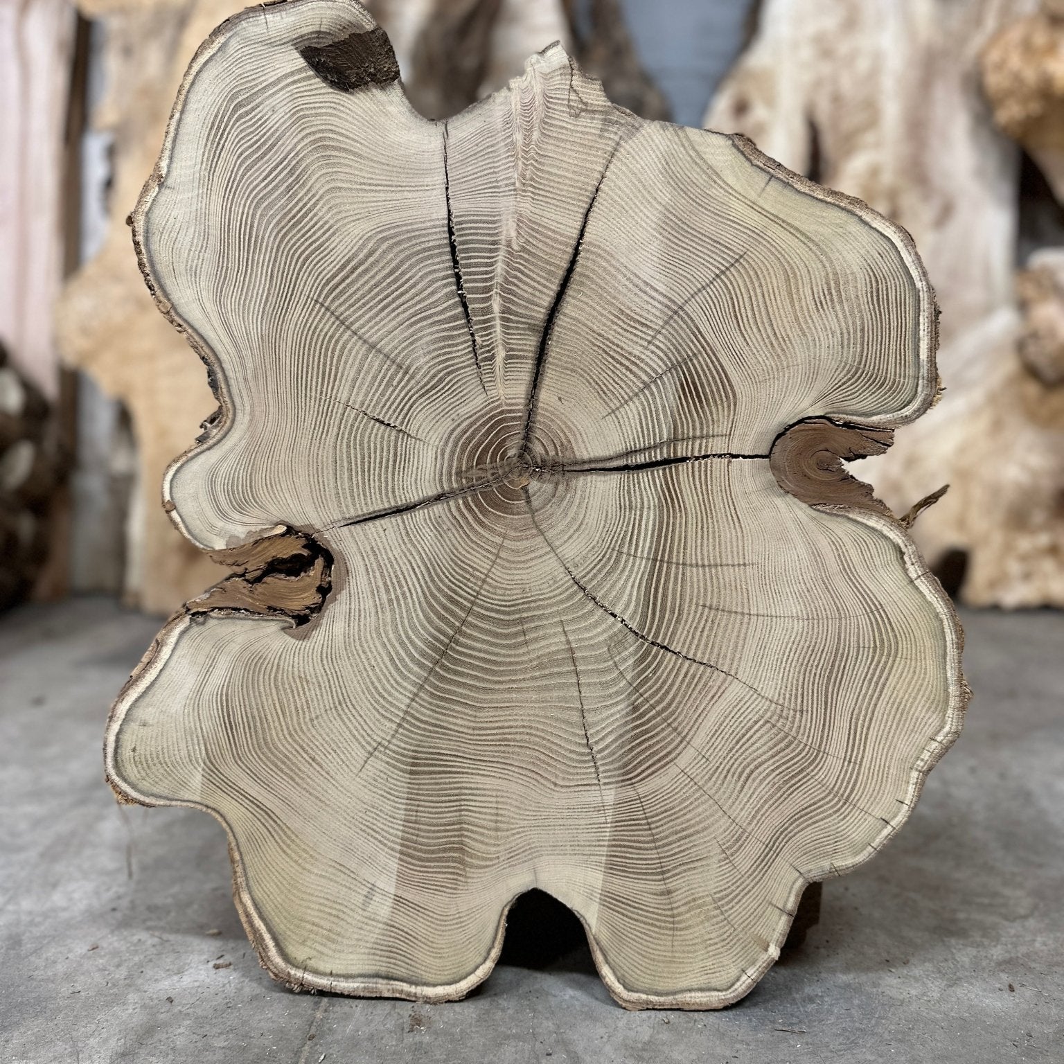 LiveEdge Black Locust | Black Locust | Double Diamond