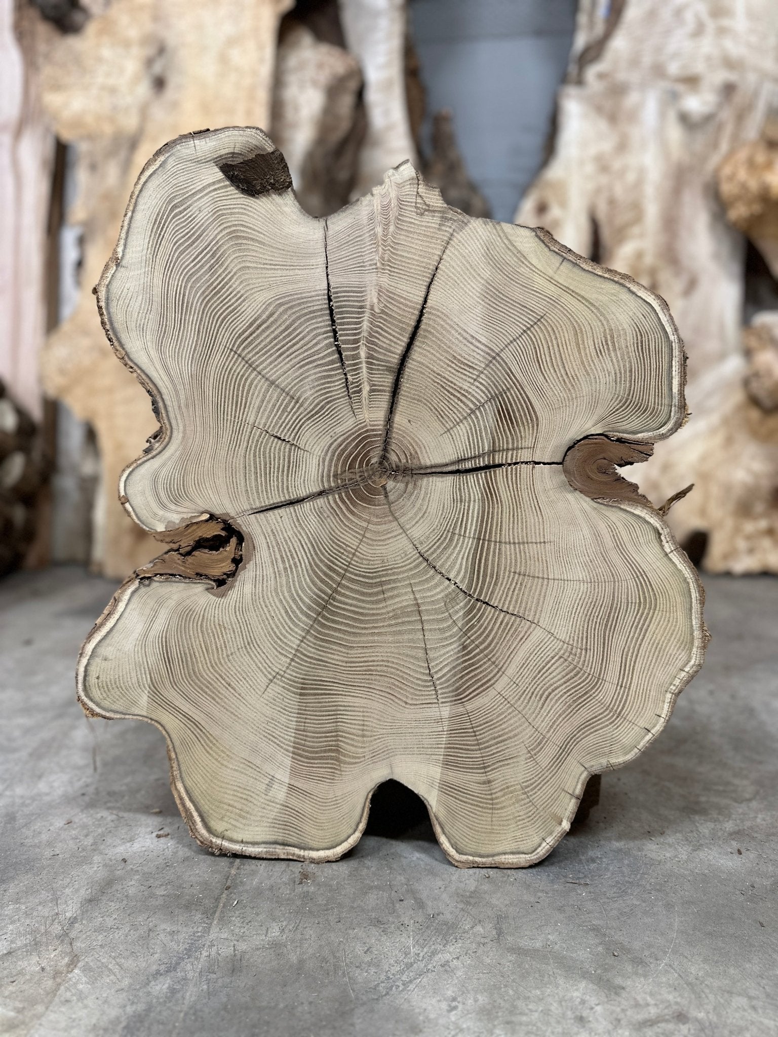 LiveEdge Black Locust | Black Locust | Double Diamond