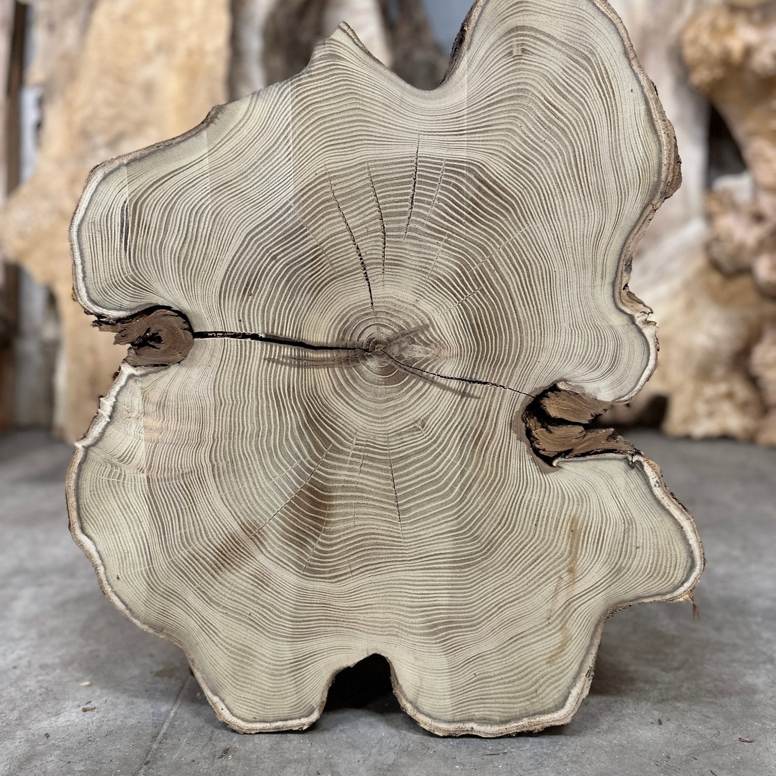 LiveEdge Black Locust | Black Locust | Double Diamond