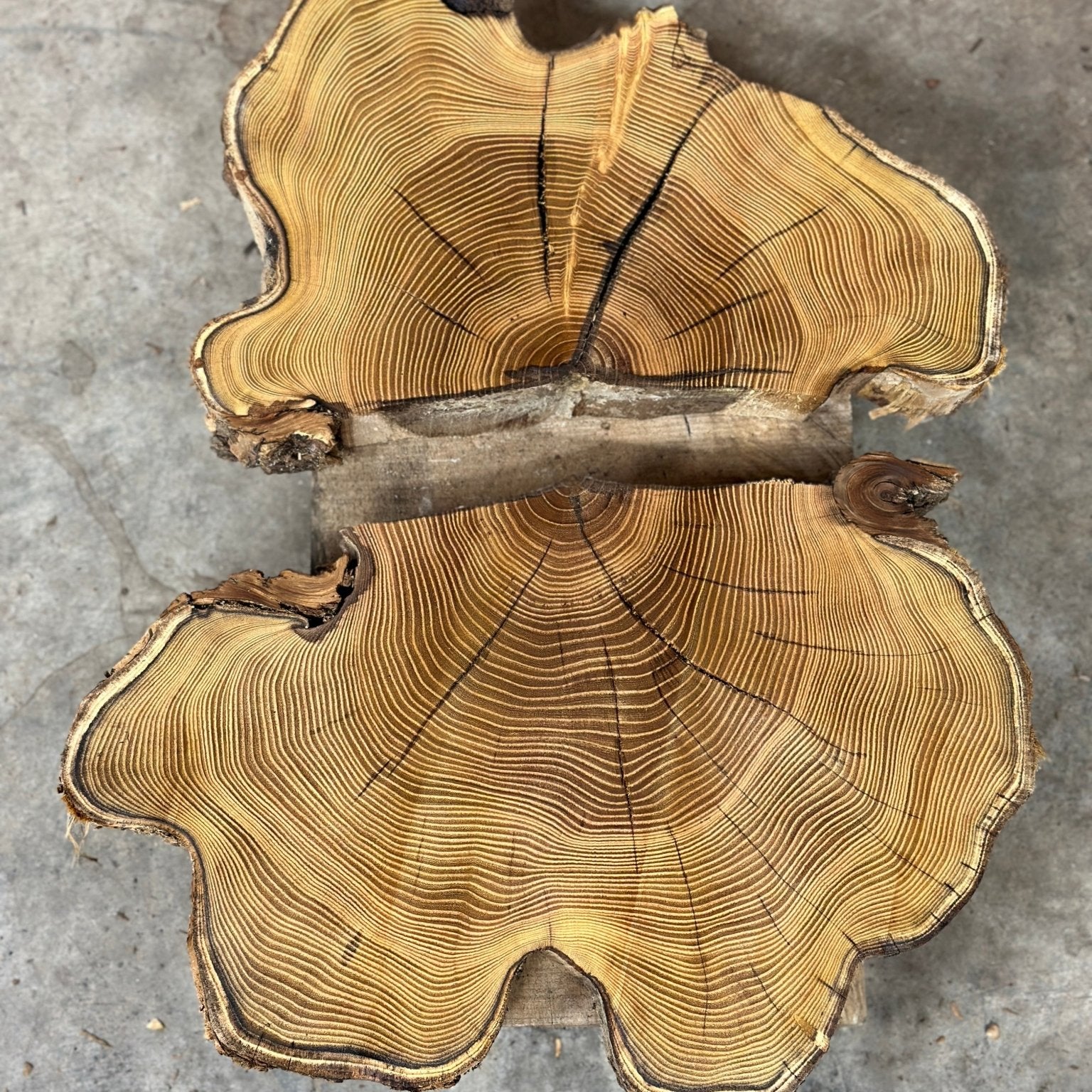 LiveEdge Black Locust | Black Locust | Double Diamond