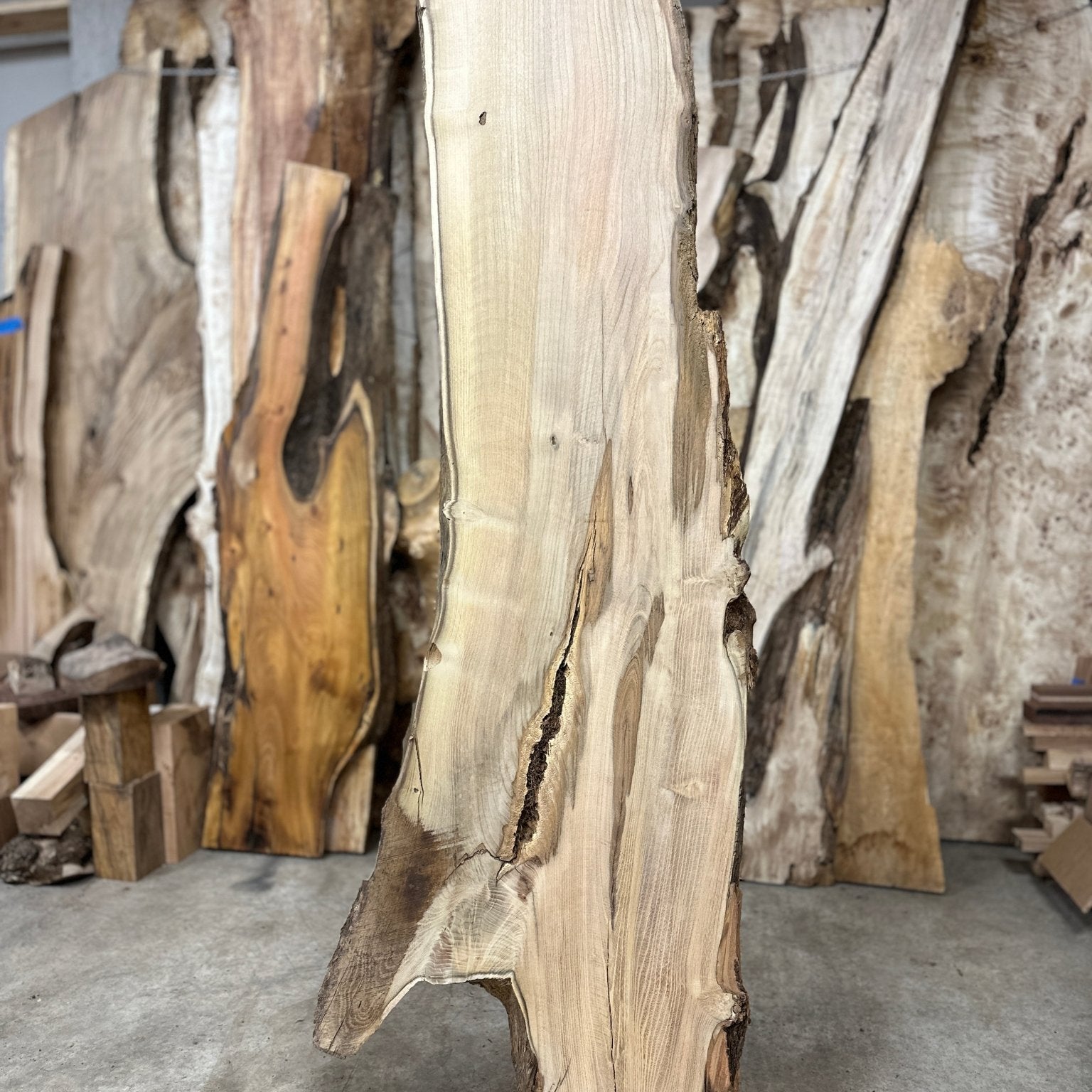 LiveEdge Black Locust | Black Locust | Hamilton Lee Supply