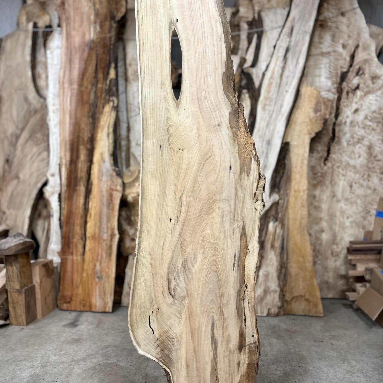 LiveEdge Black Locust | Black Locust | Hamilton Lee Supply