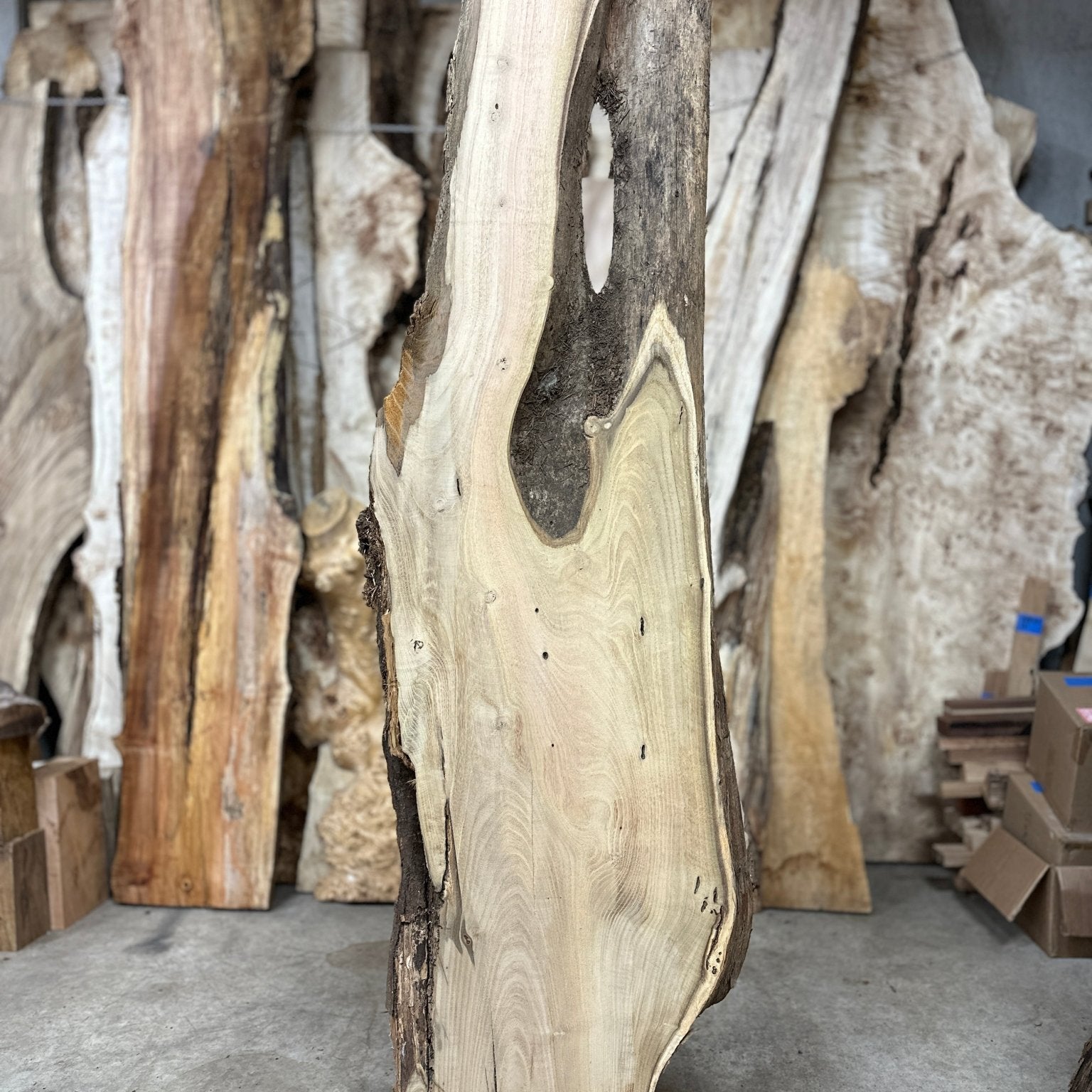 LiveEdge Black Locust | Black Locust | Hamilton Lee Supply