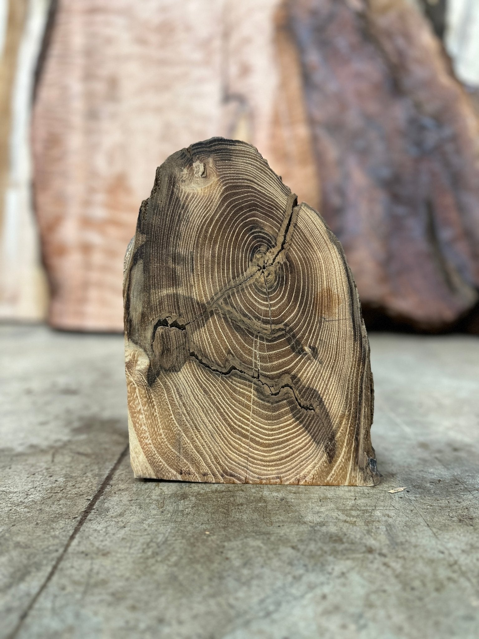LiveEdge Black Locust | Black Locust | Hamilton Lee Supply