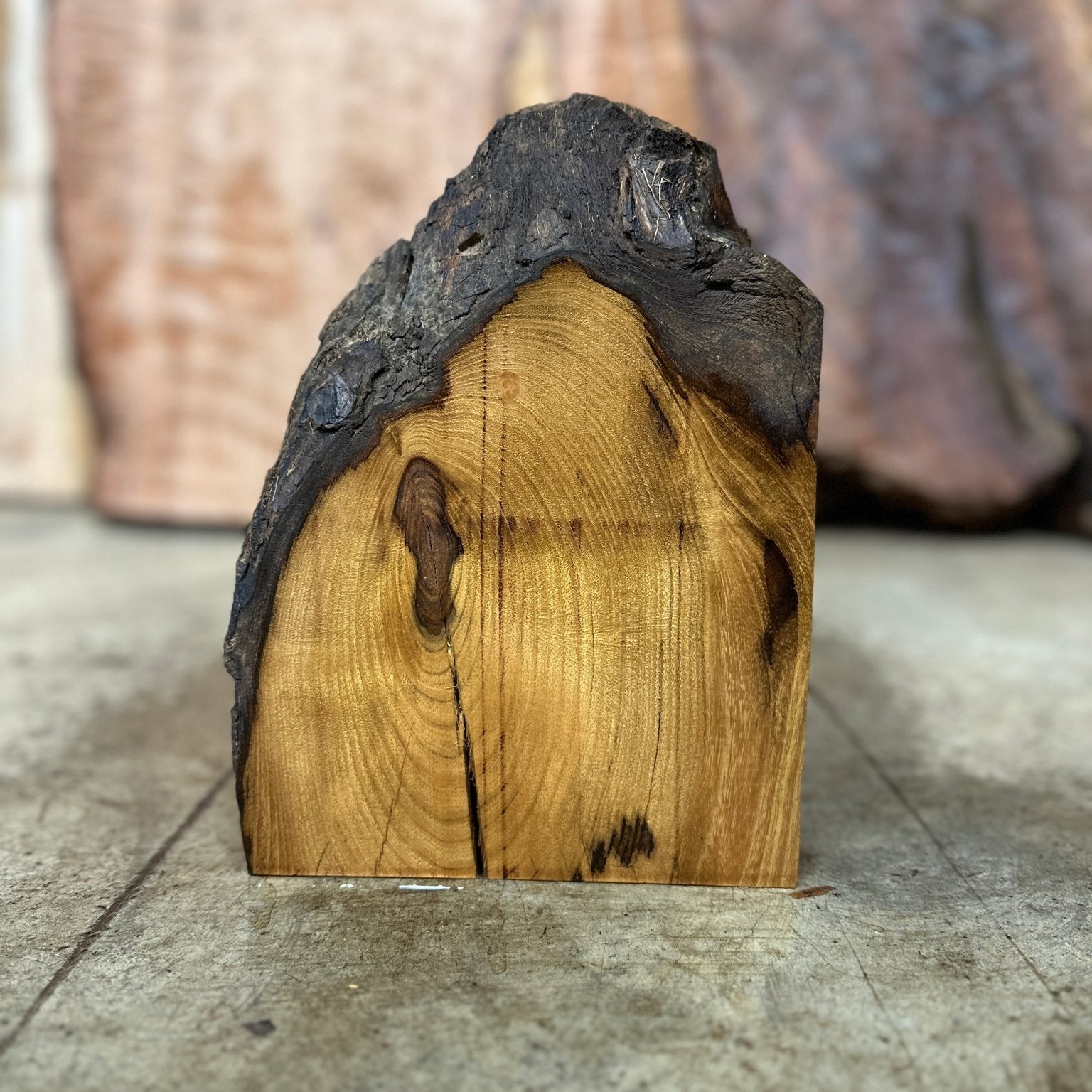 LiveEdge Black Locust | Black Locust | Hamilton Lee Supply