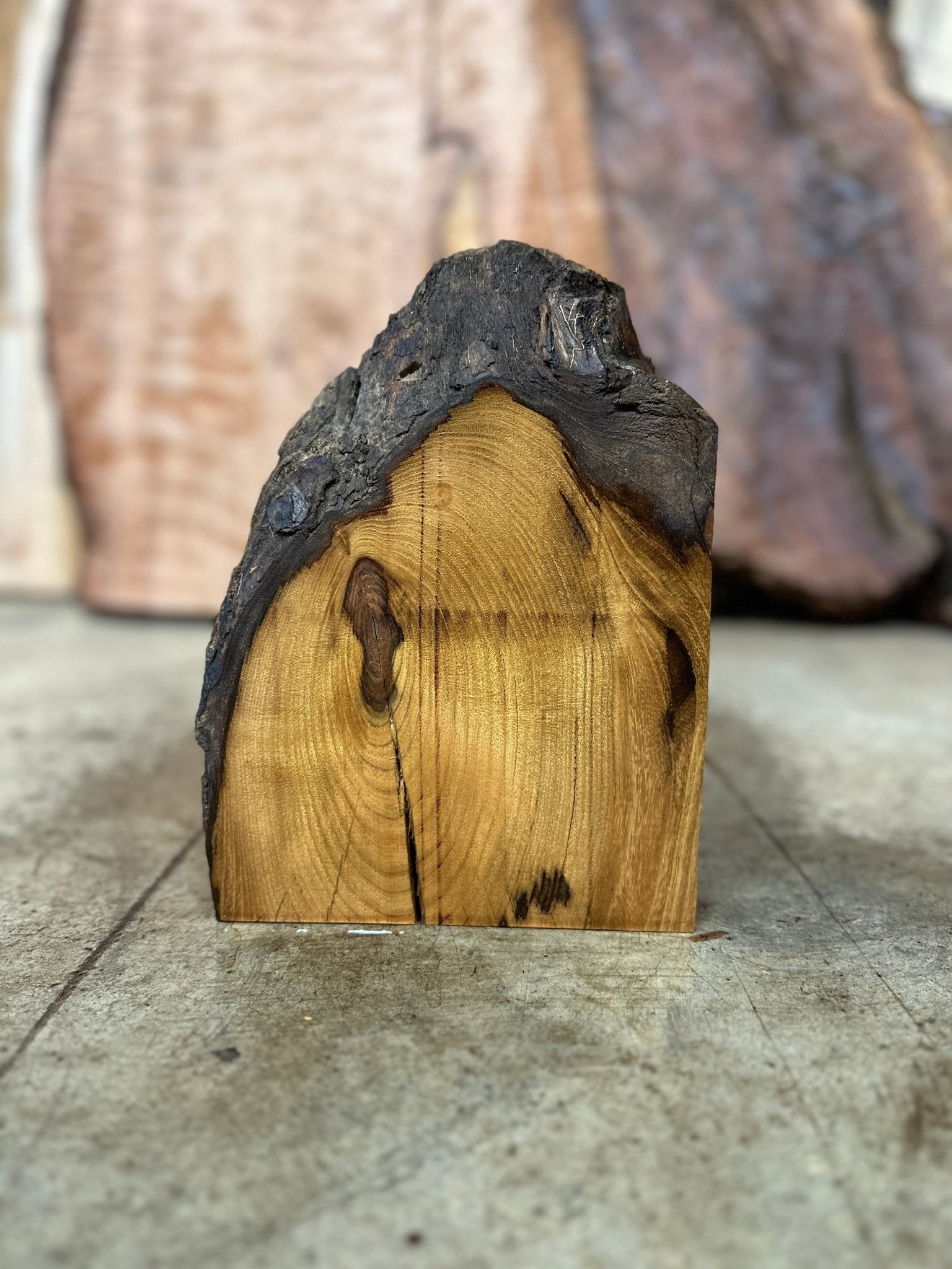 LiveEdge Black Locust | Black Locust | Hamilton Lee Supply