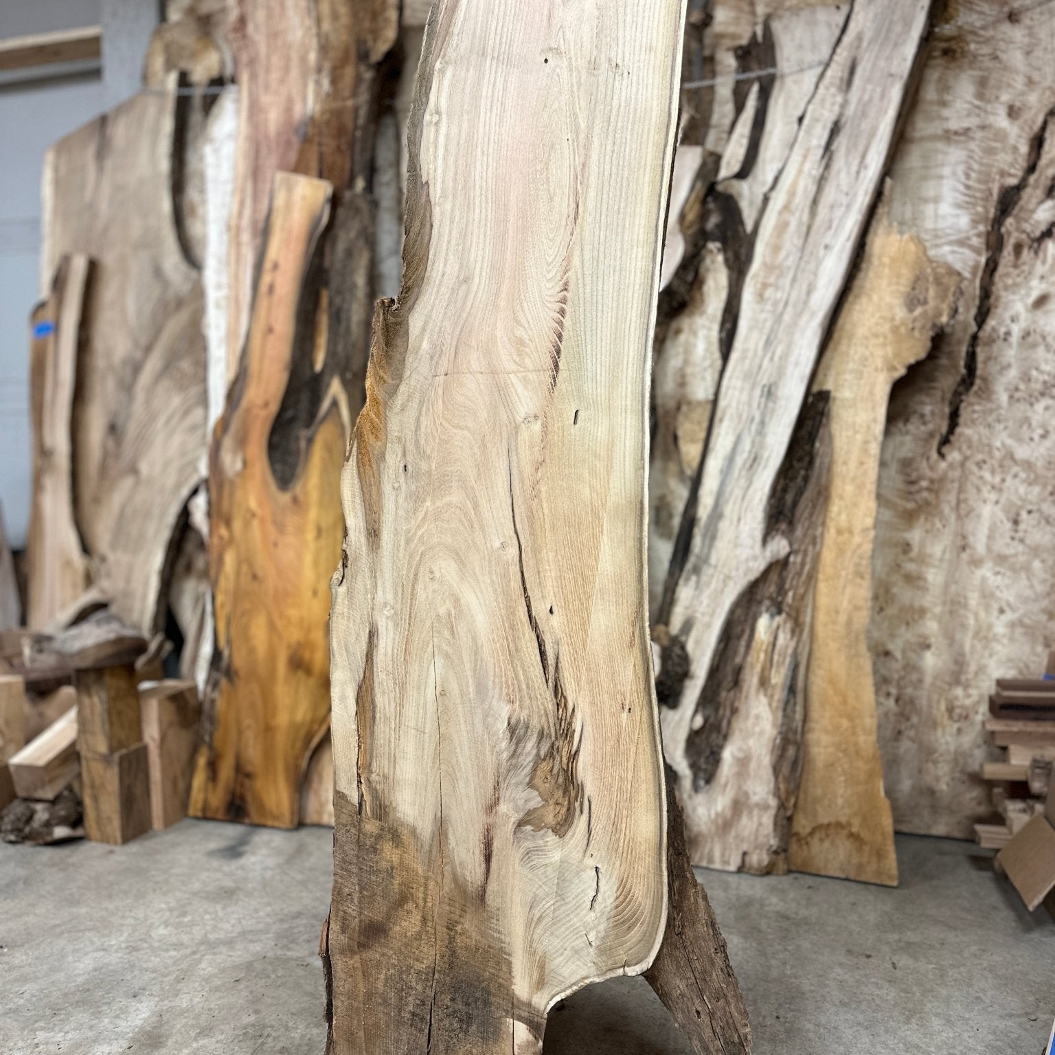 LiveEdge Black Locust | Black Locust | Hamilton Lee Supply