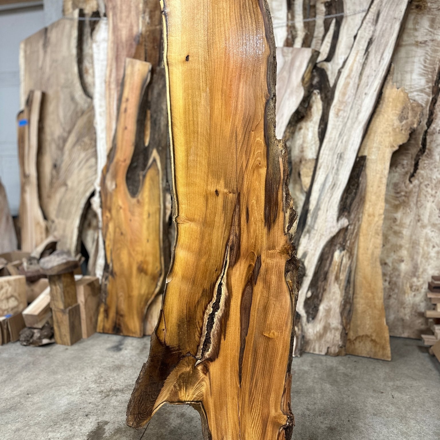 LiveEdge Black Locust | Black Locust | Hamilton Lee Supply