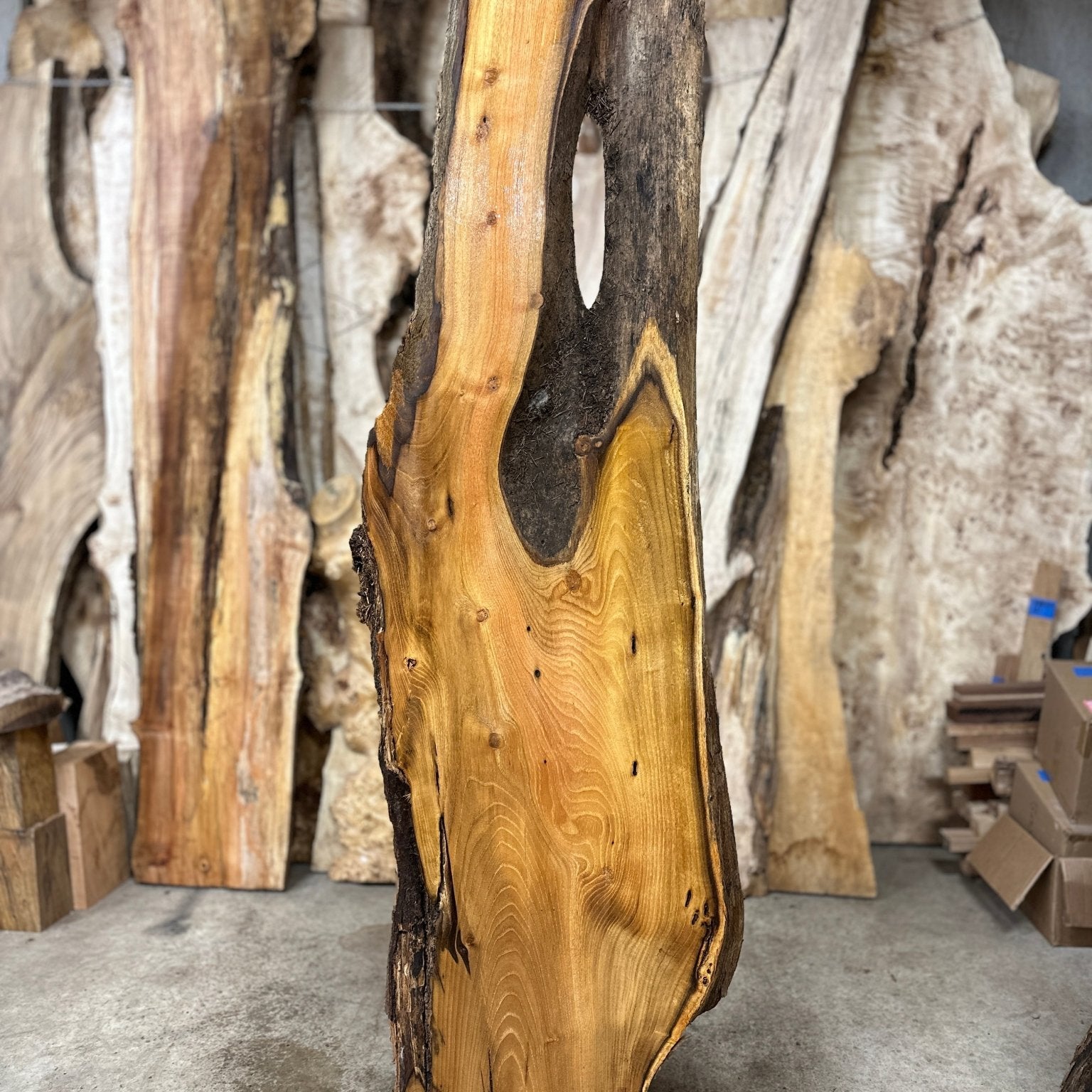 LiveEdge Black Locust | Black Locust | Hamilton Lee Supply