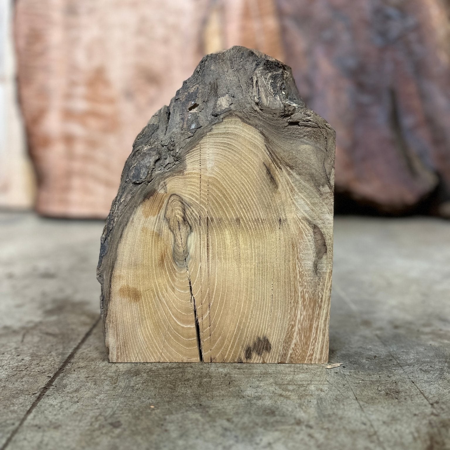 LiveEdge Black Locust | Black Locust | Hamilton Lee Supply