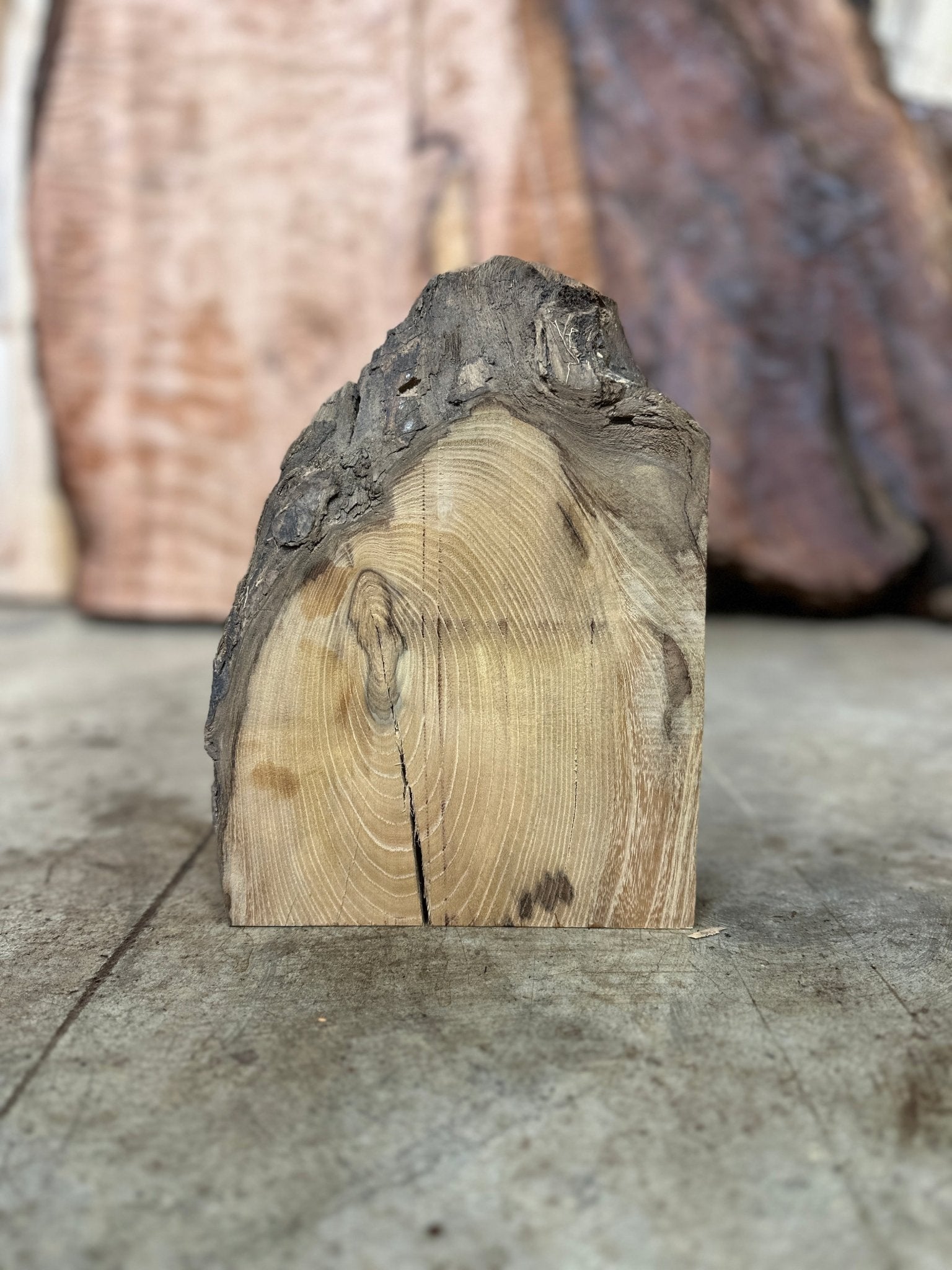 LiveEdge Black Locust | Black Locust | Hamilton Lee Supply