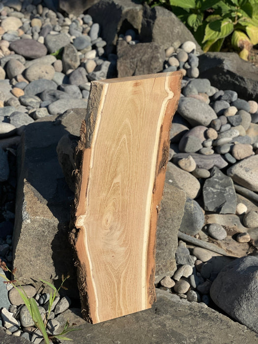 Hamilton Lee Supply | LiveEdge Black Locust Charcuterie Stock | Craft Wood & Shapes | Hamilton Lee Supply