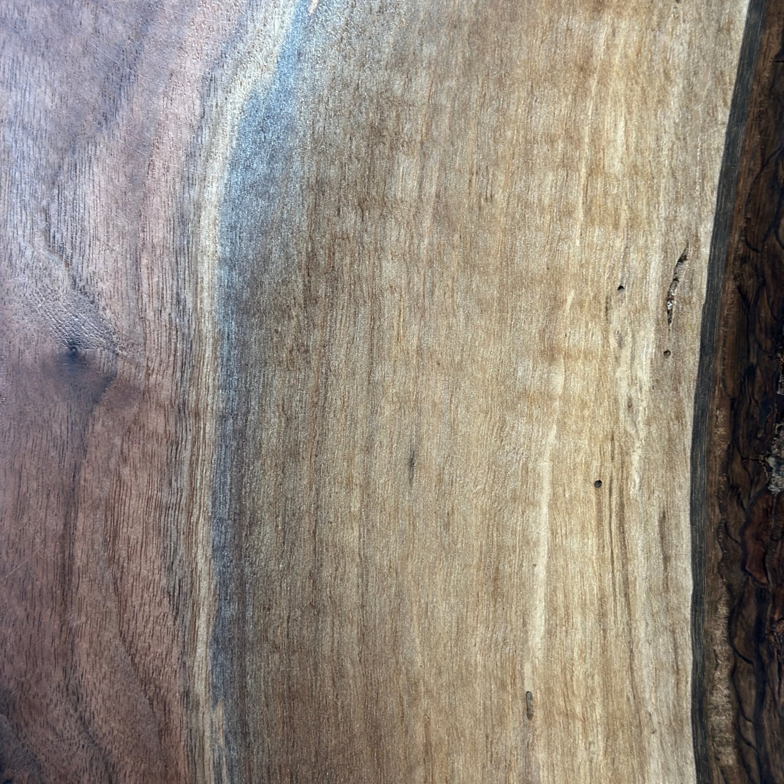 LiveEdge Black Walnut | Black Walnut | Hamilton Lee Supply