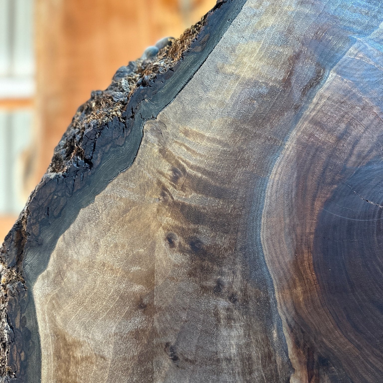 LiveEdge Black Walnut | Black Walnut | Hamilton Lee Supply