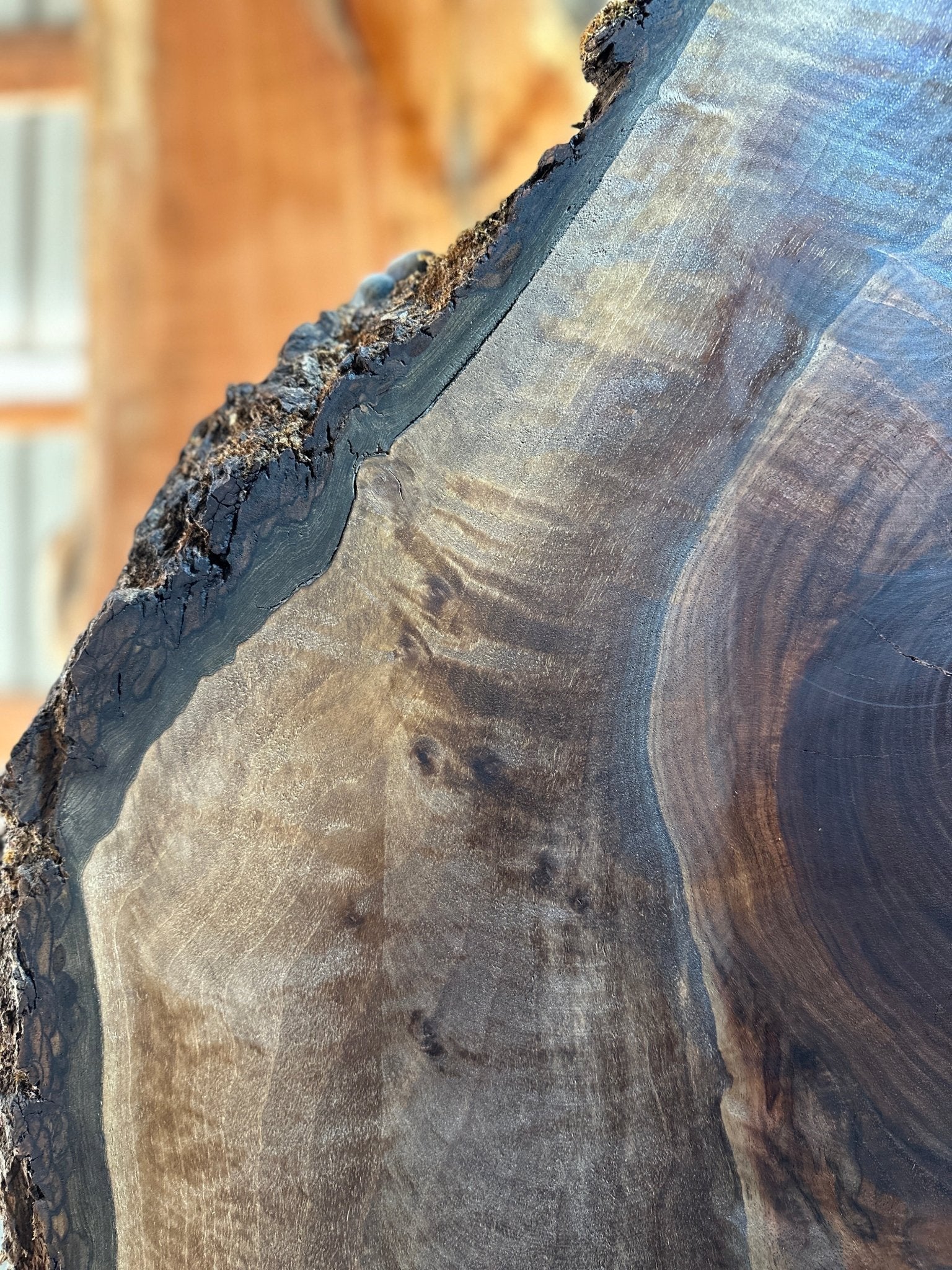 LiveEdge Black Walnut | Black Walnut | Hamilton Lee Supply
