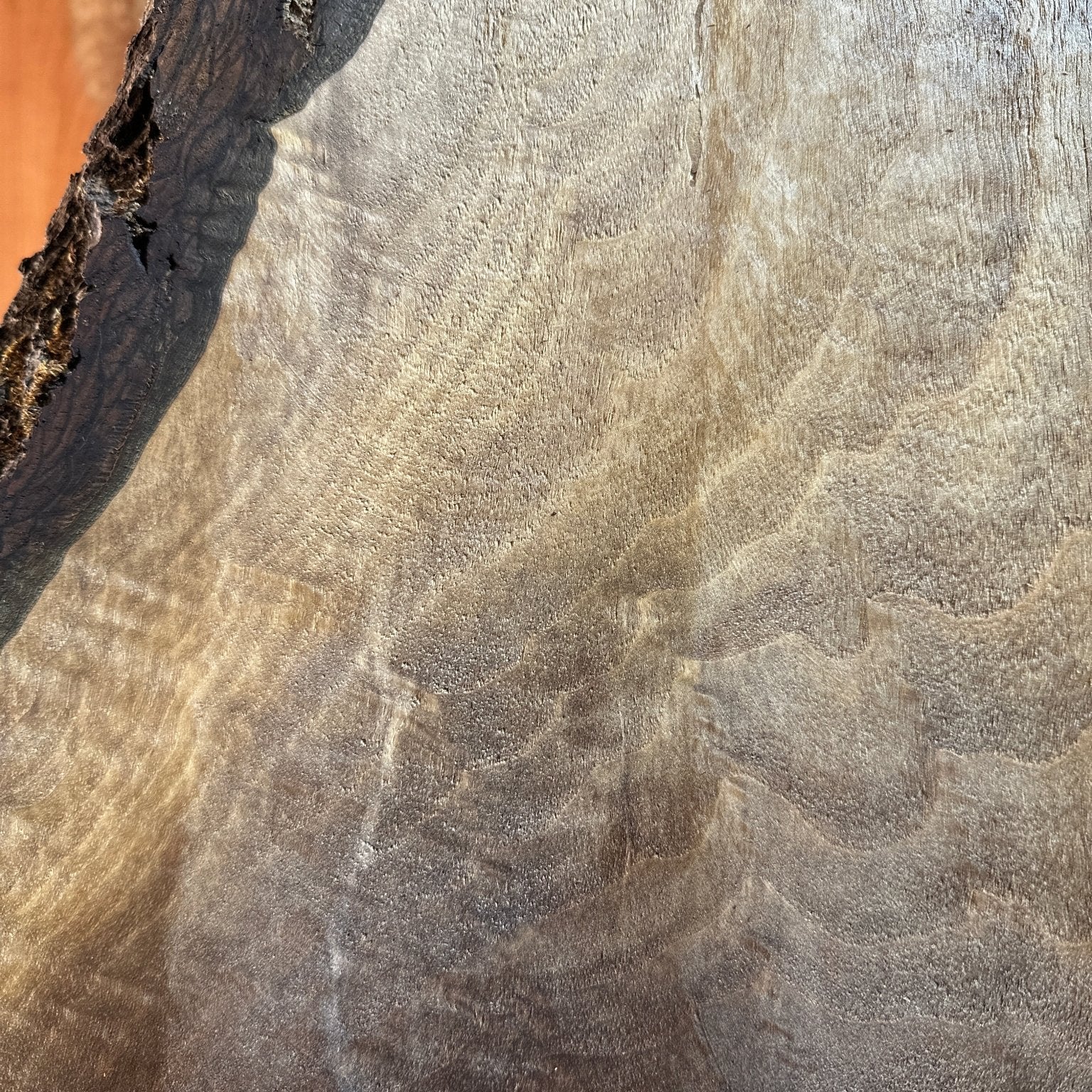 LiveEdge Black Walnut | Black Walnut | Hamilton Lee Supply