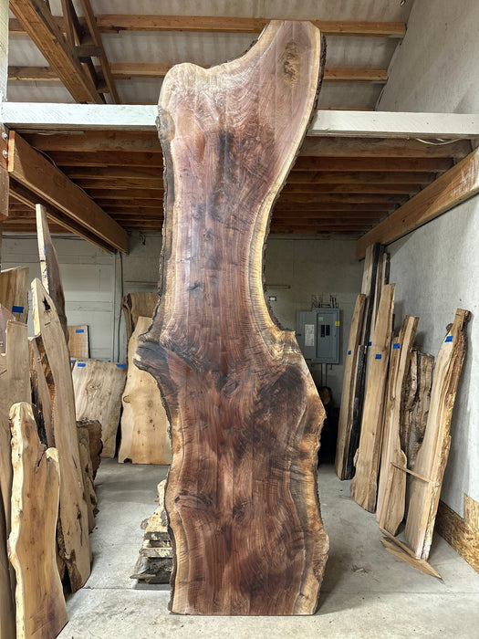 Crazy Grain | LiveEdge Black Walnut | Black Walnut | Hamilton Lee Supply