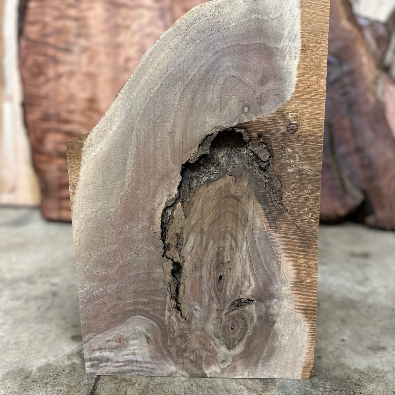 LiveEdge Black Walnut | Black Walnut | Hamilton Lee Supply