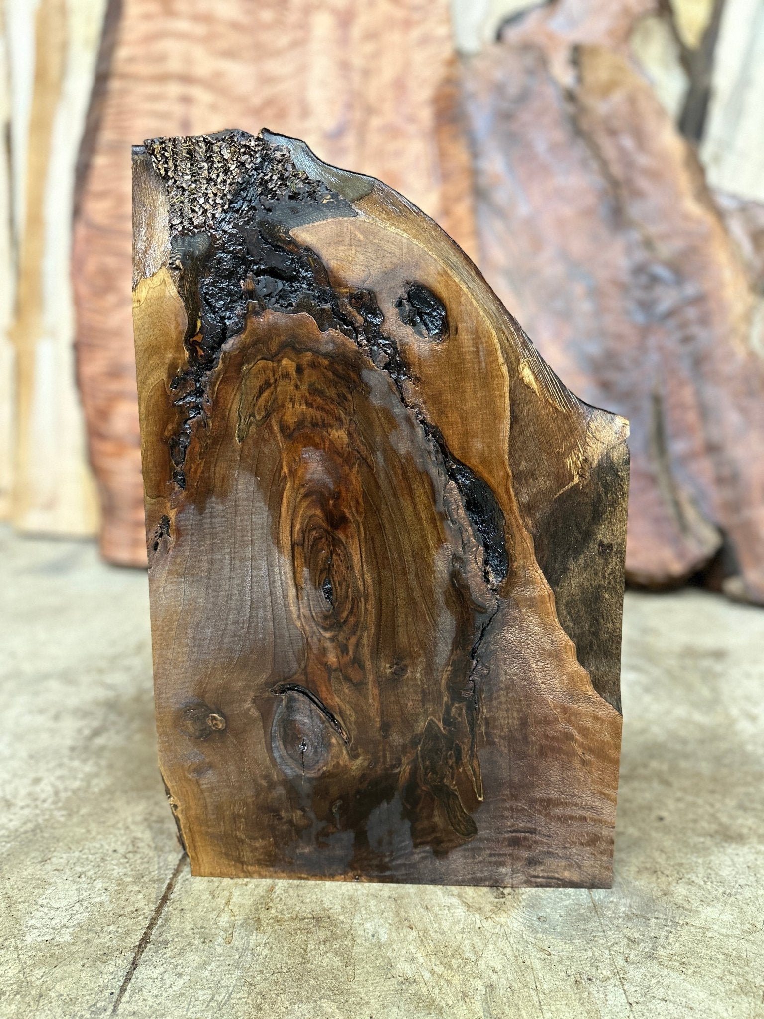 LiveEdge Black Walnut | Black Walnut | Hamilton Lee Supply