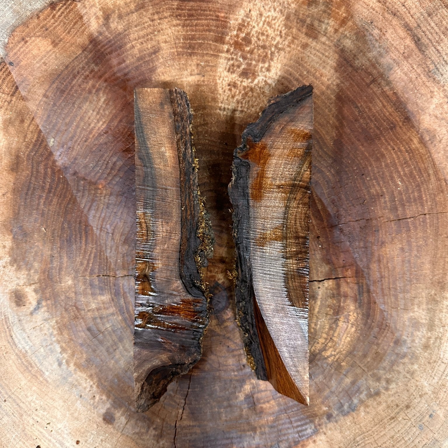 LiveEdge Black Walnut | Black Walnut | Hamilton Lee Supply