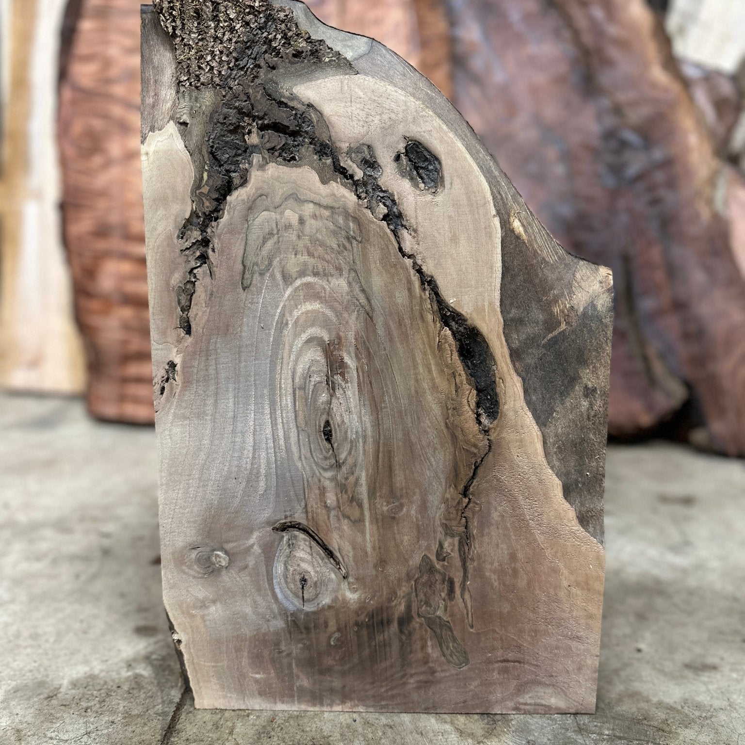 LiveEdge Black Walnut | Black Walnut | Hamilton Lee Supply