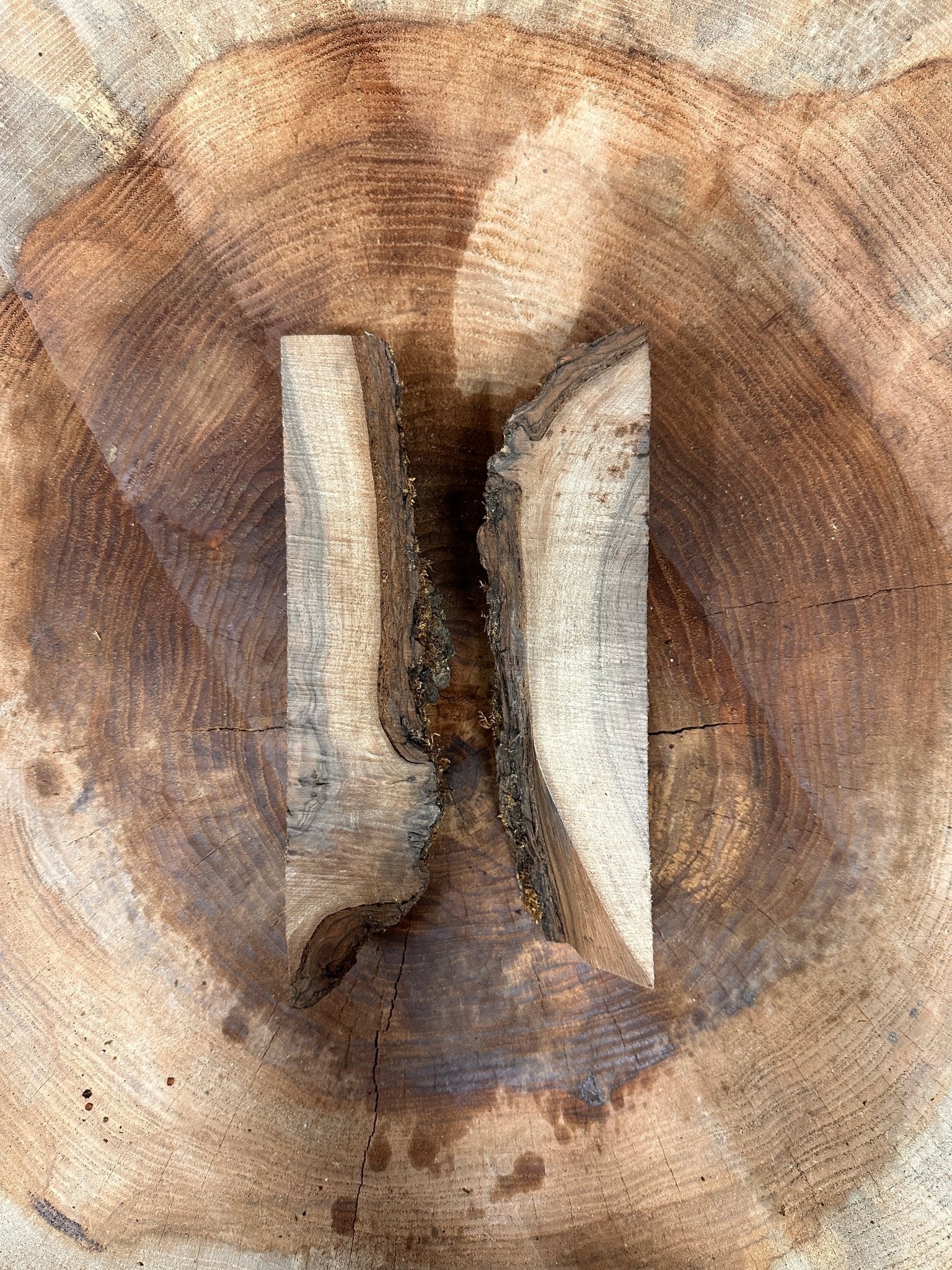 LiveEdge Black Walnut | Black Walnut | Hamilton Lee Supply