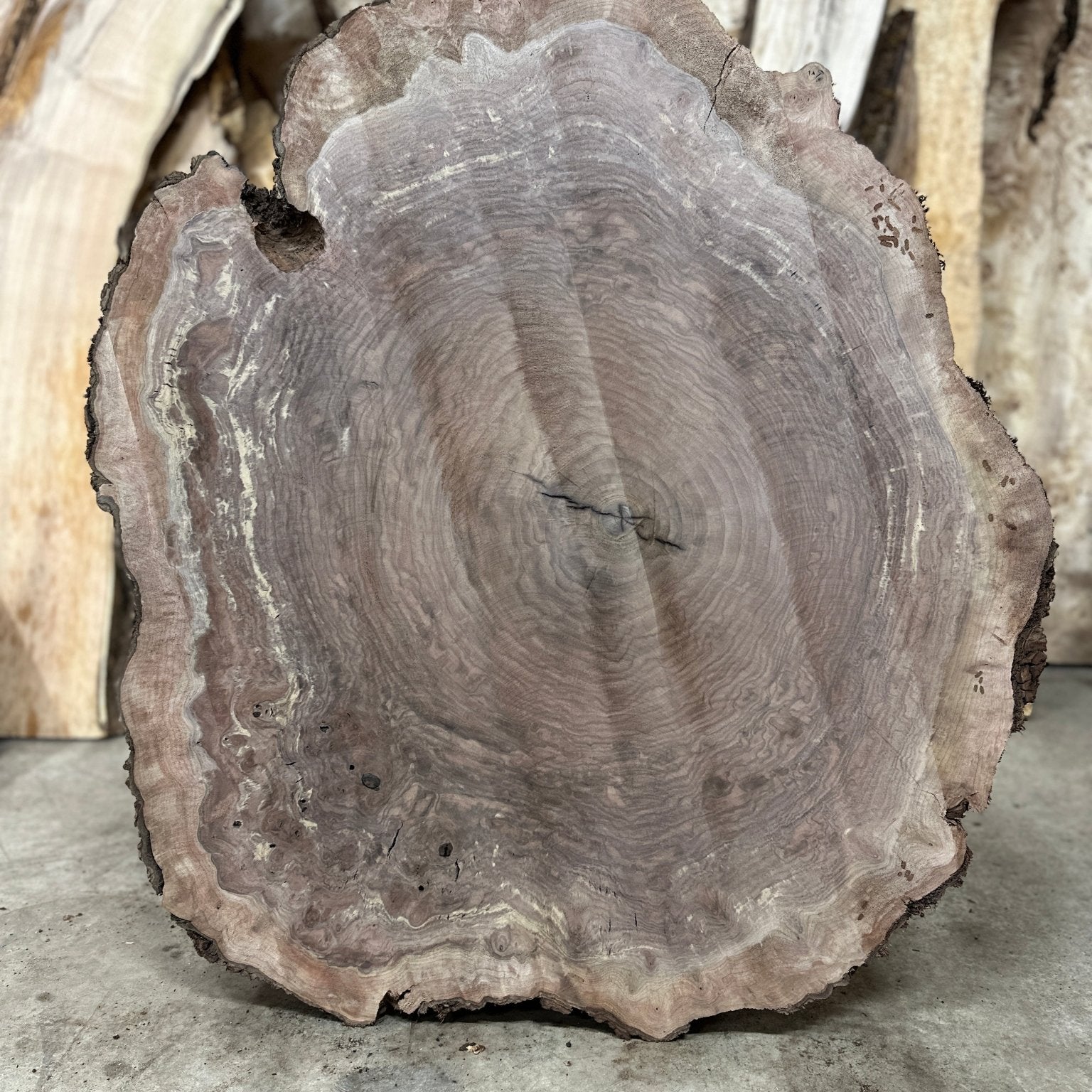 LiveEdge Black Walnut Cookie | Black Walnut | Hamilton Lee Supply
