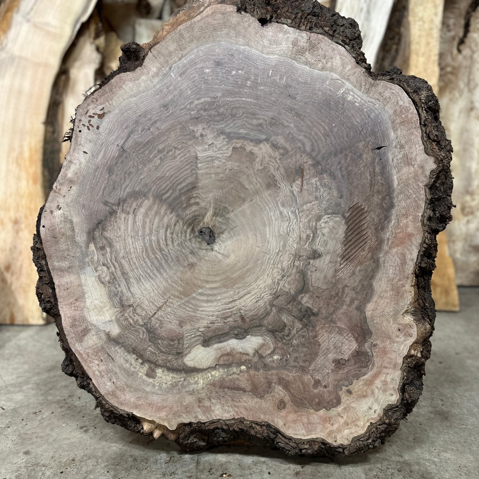 LiveEdge Black Walnut Cookie | Black Walnut | Hamilton Lee Supply