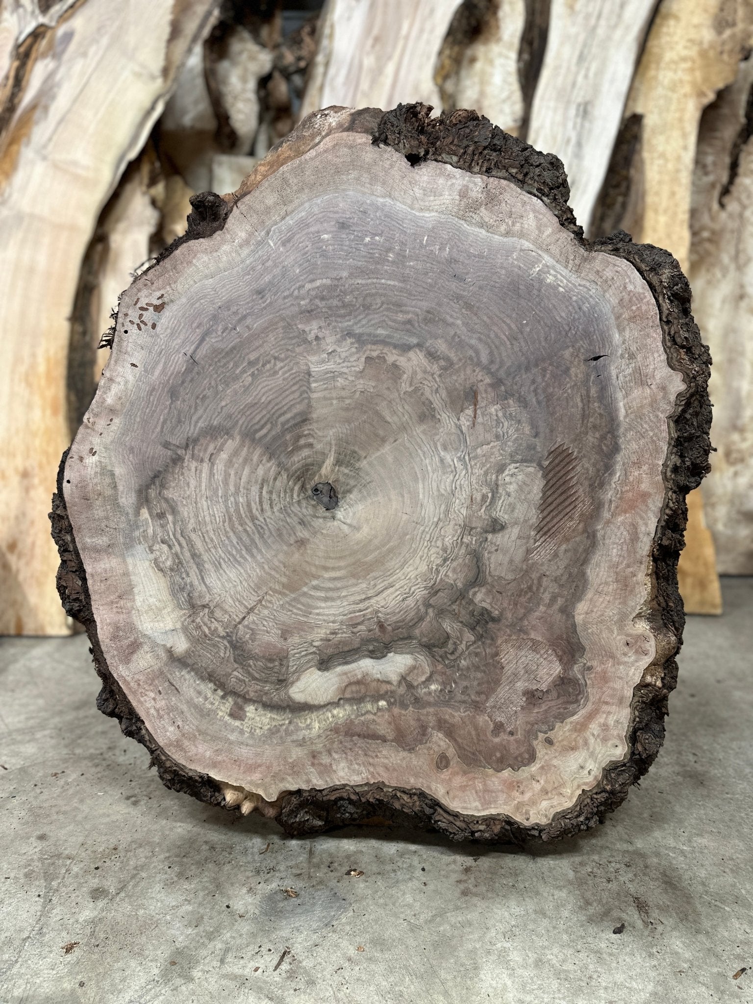LiveEdge Black Walnut Cookie | Black Walnut | Hamilton Lee Supply