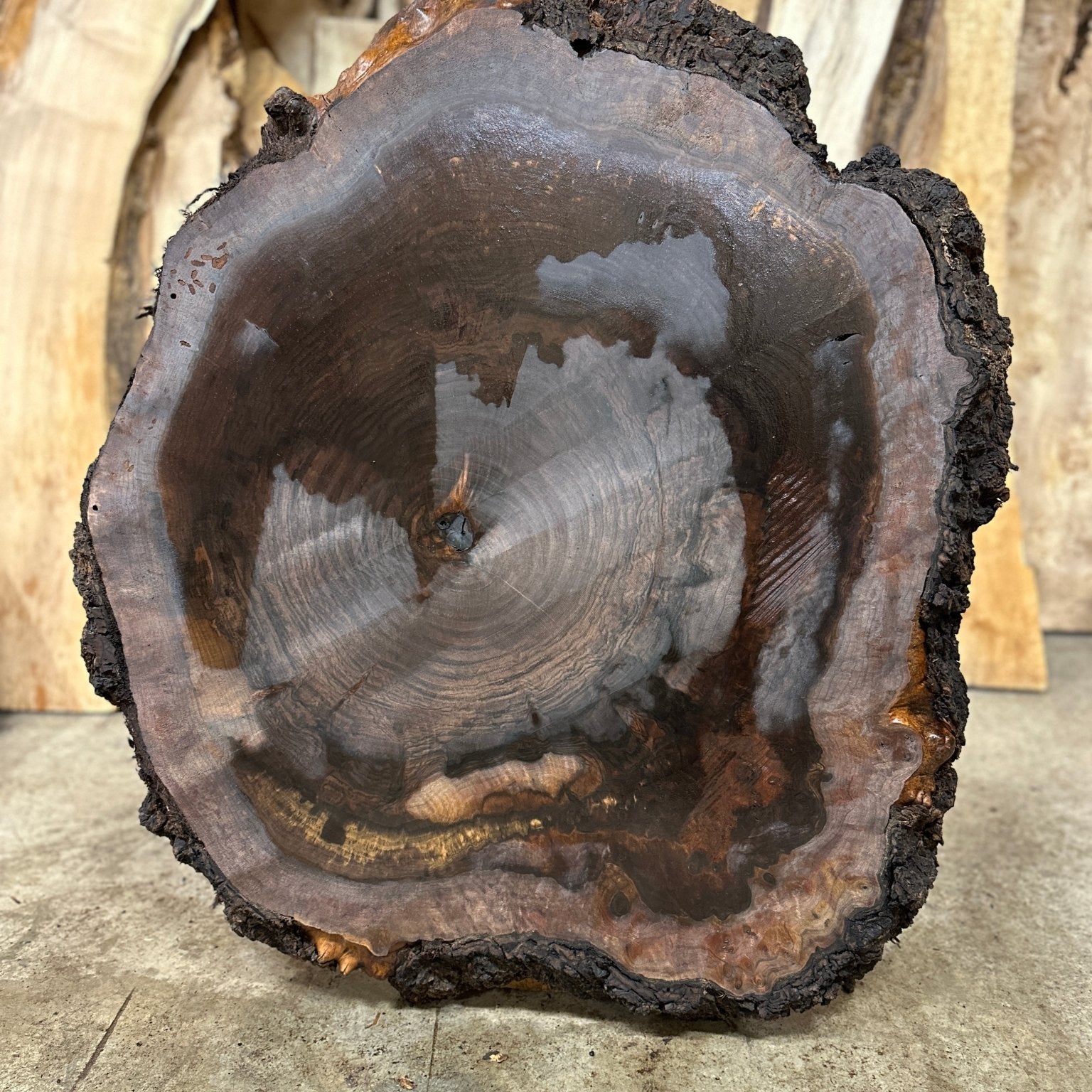 LiveEdge Black Walnut Cookie | Black Walnut | Hamilton Lee Supply