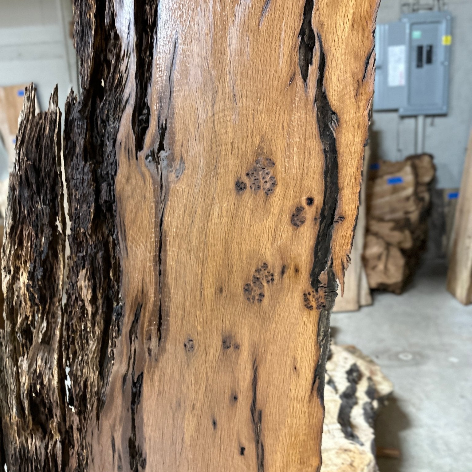 LiveEdge Dead Oak | Dead Oak | Hamilton Lee Supply