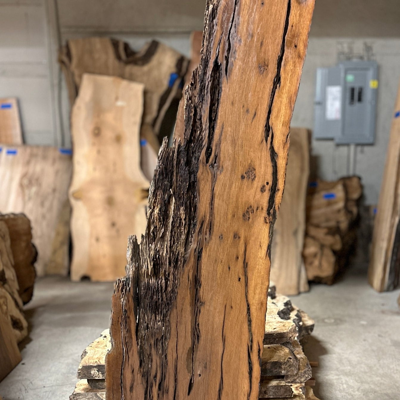 LiveEdge Dead Oak | Dead Oak | Hamilton Lee Supply