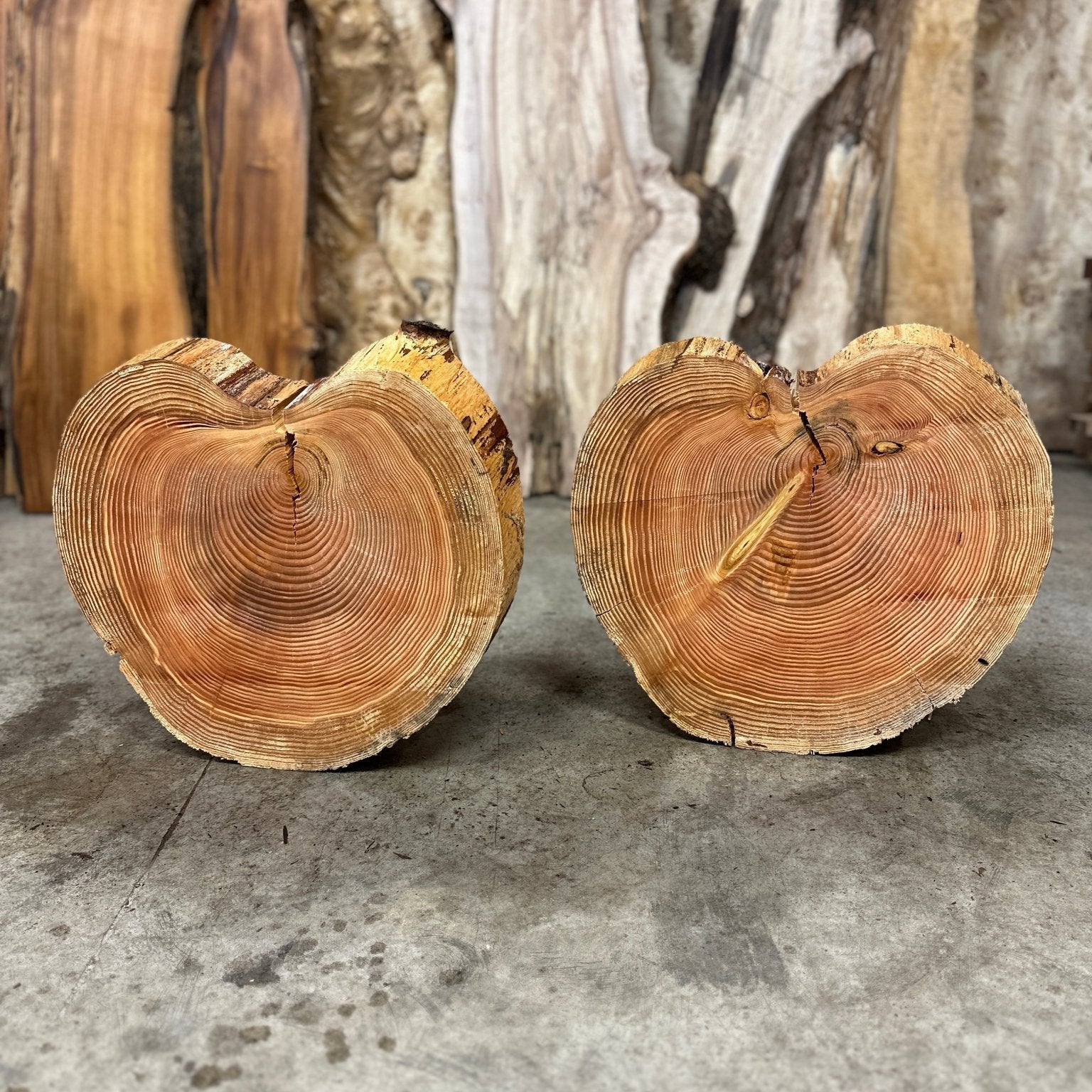 LiveEdge Douglas Fir Cookie | Single | Douglas Fir | Hamilton Lee Supply