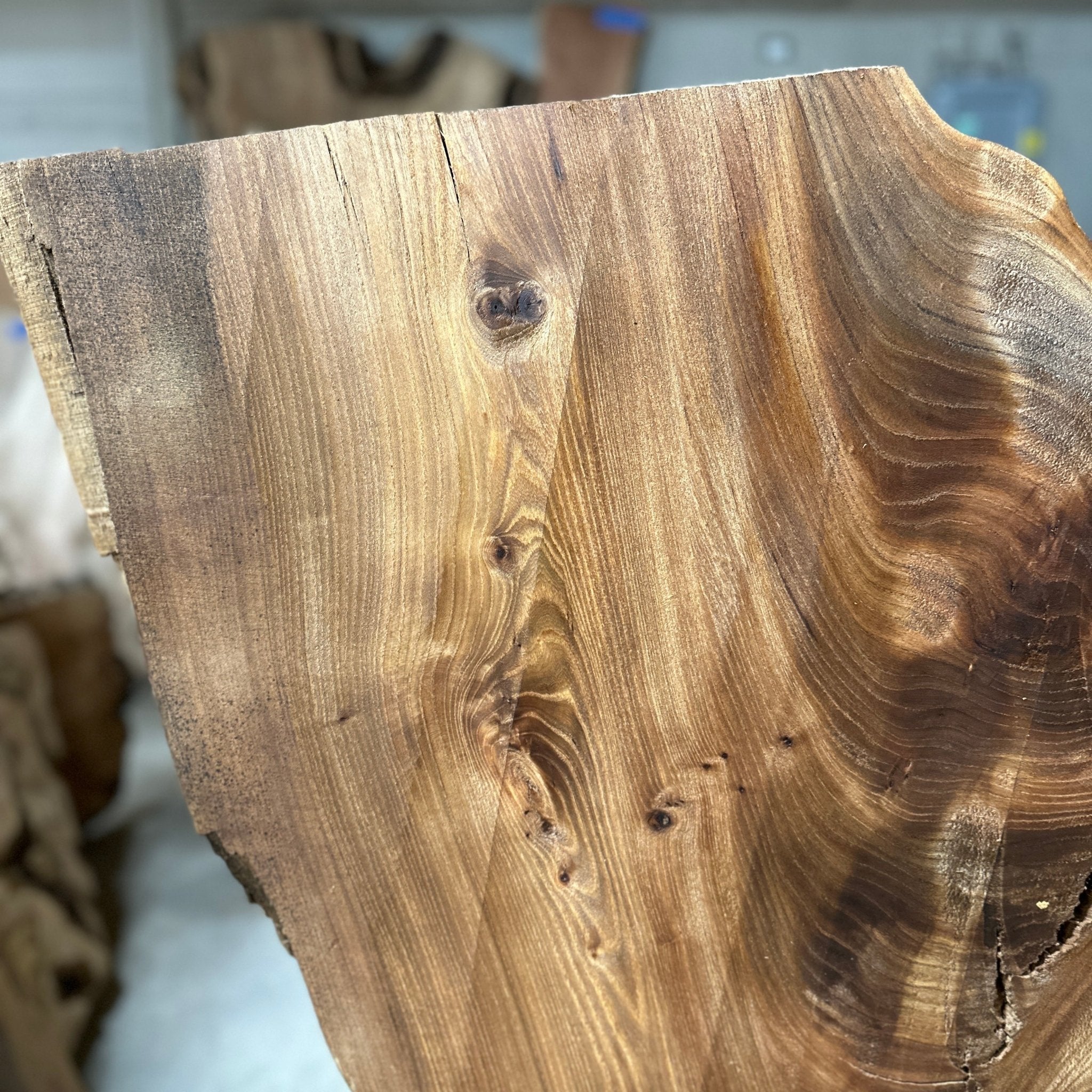 LiveEdge Elm | Elm | Hamilton Lee Supply