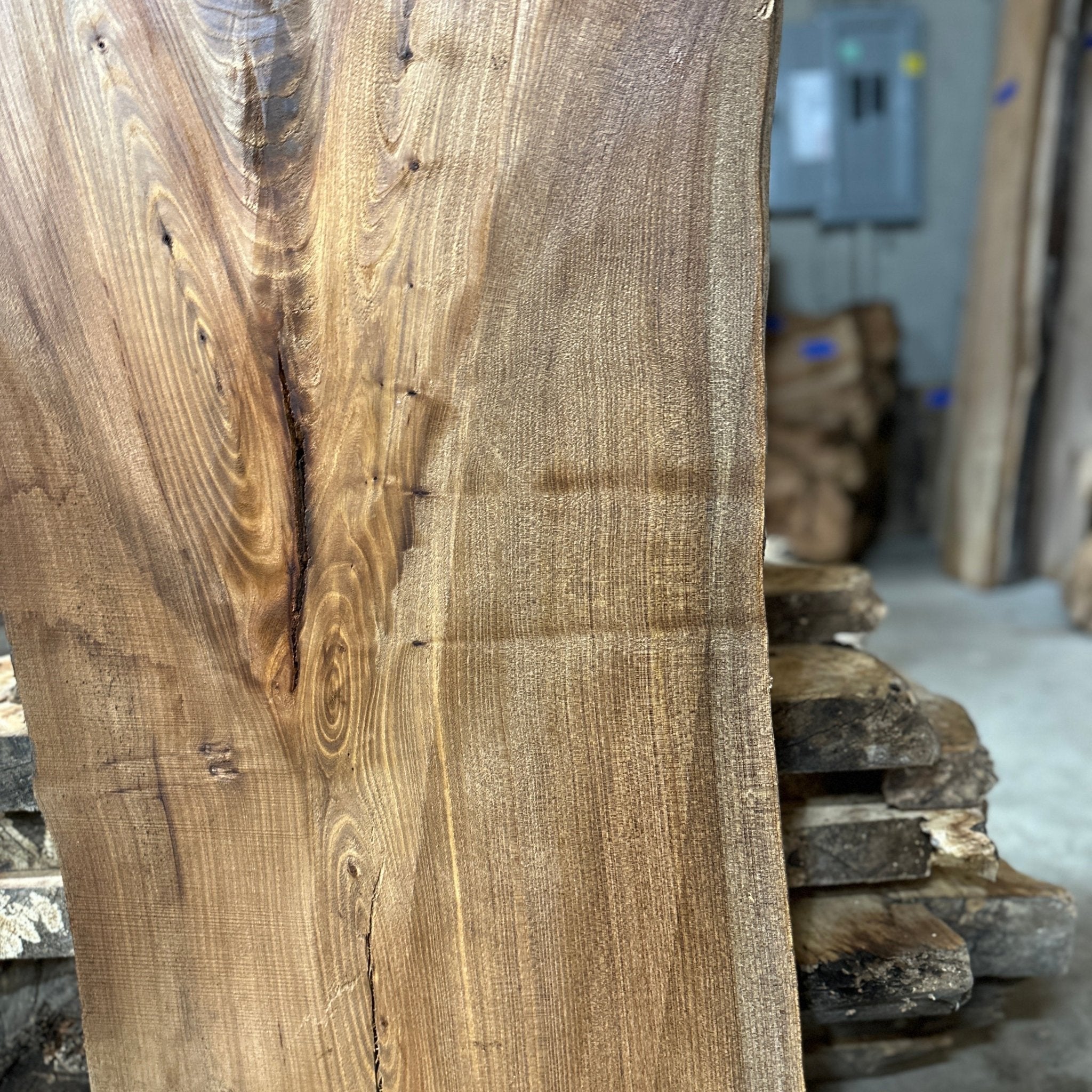 LiveEdge Elm | Elm | Hamilton Lee Supply
