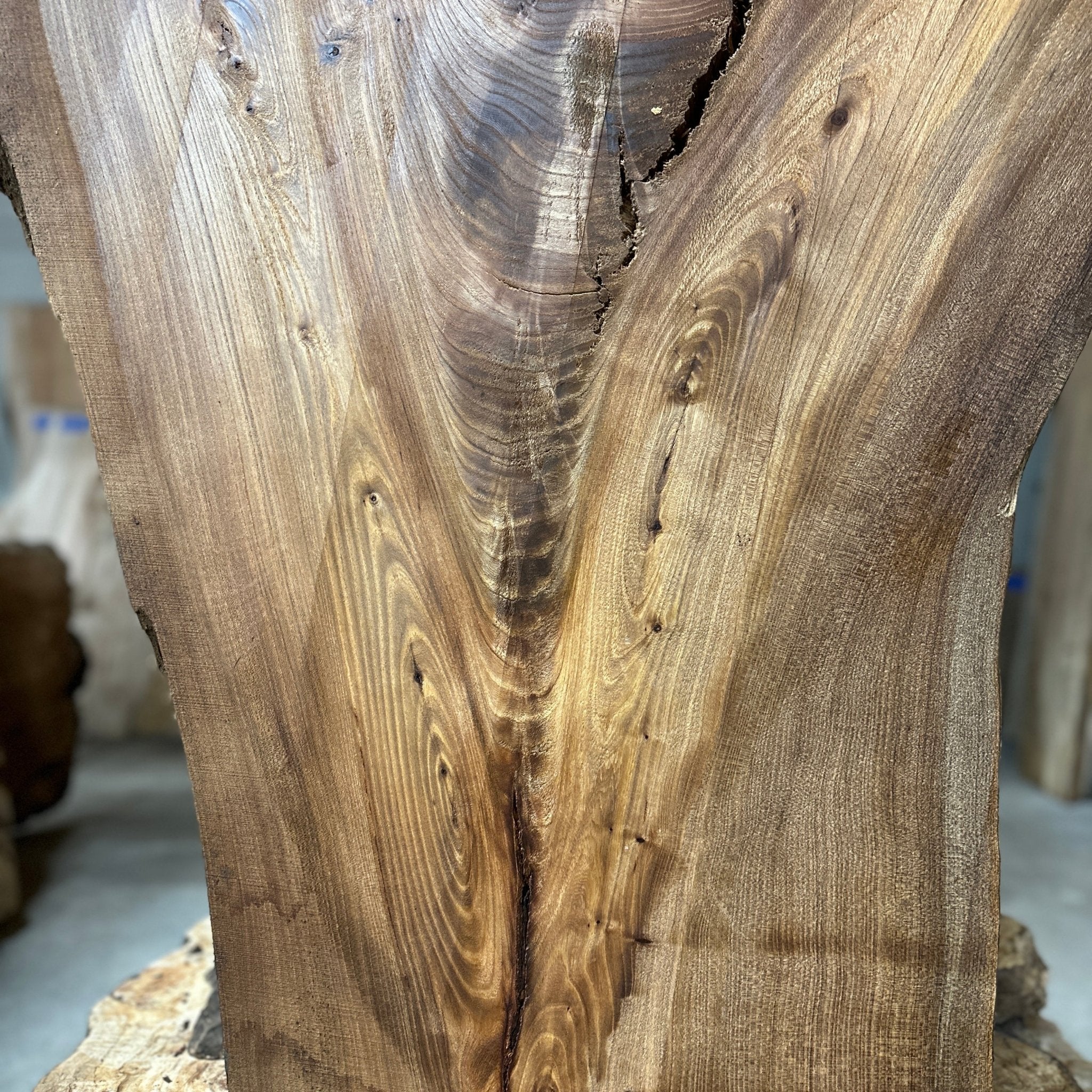 LiveEdge Elm | Elm | Hamilton Lee Supply