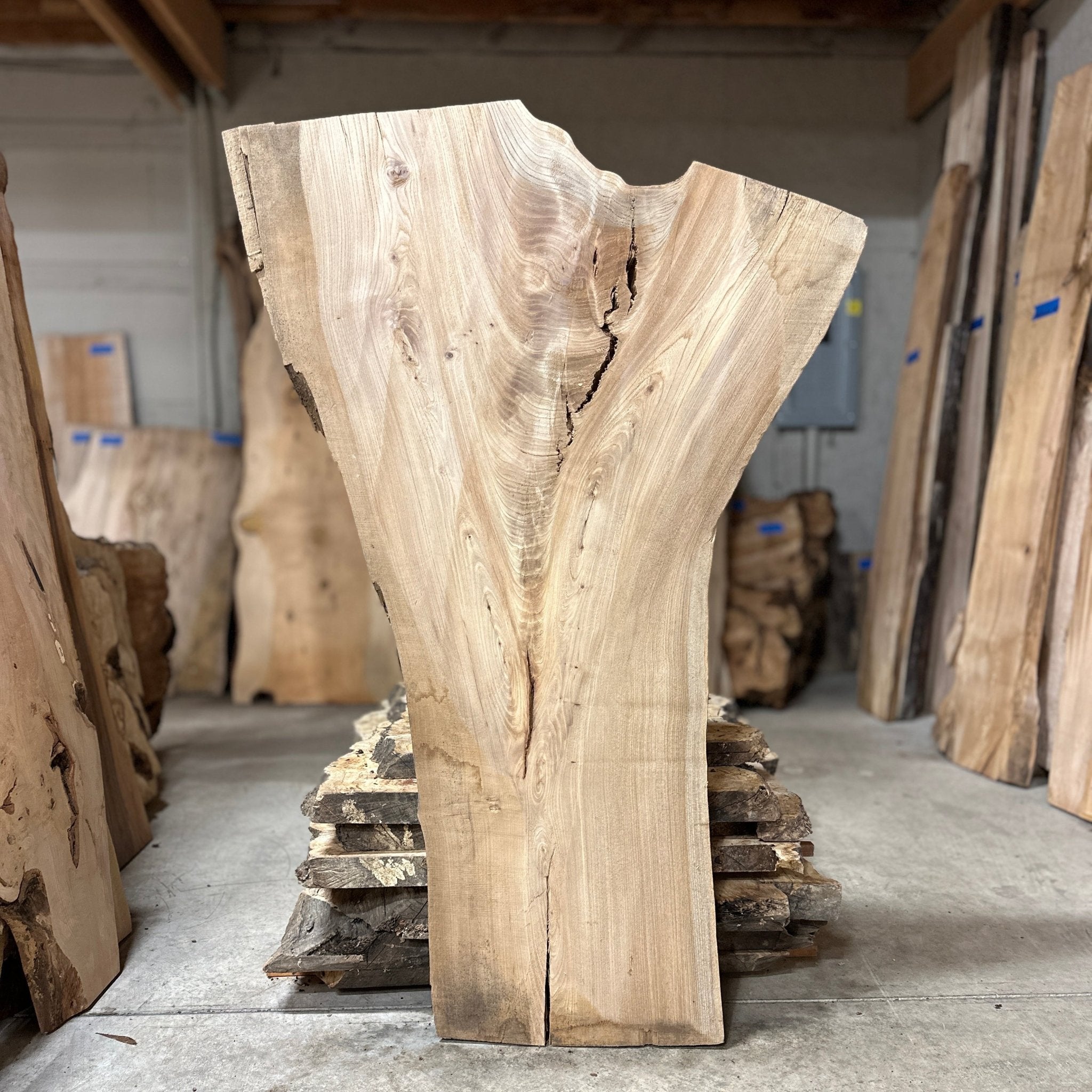 LiveEdge Elm | Elm | Hamilton Lee Supply