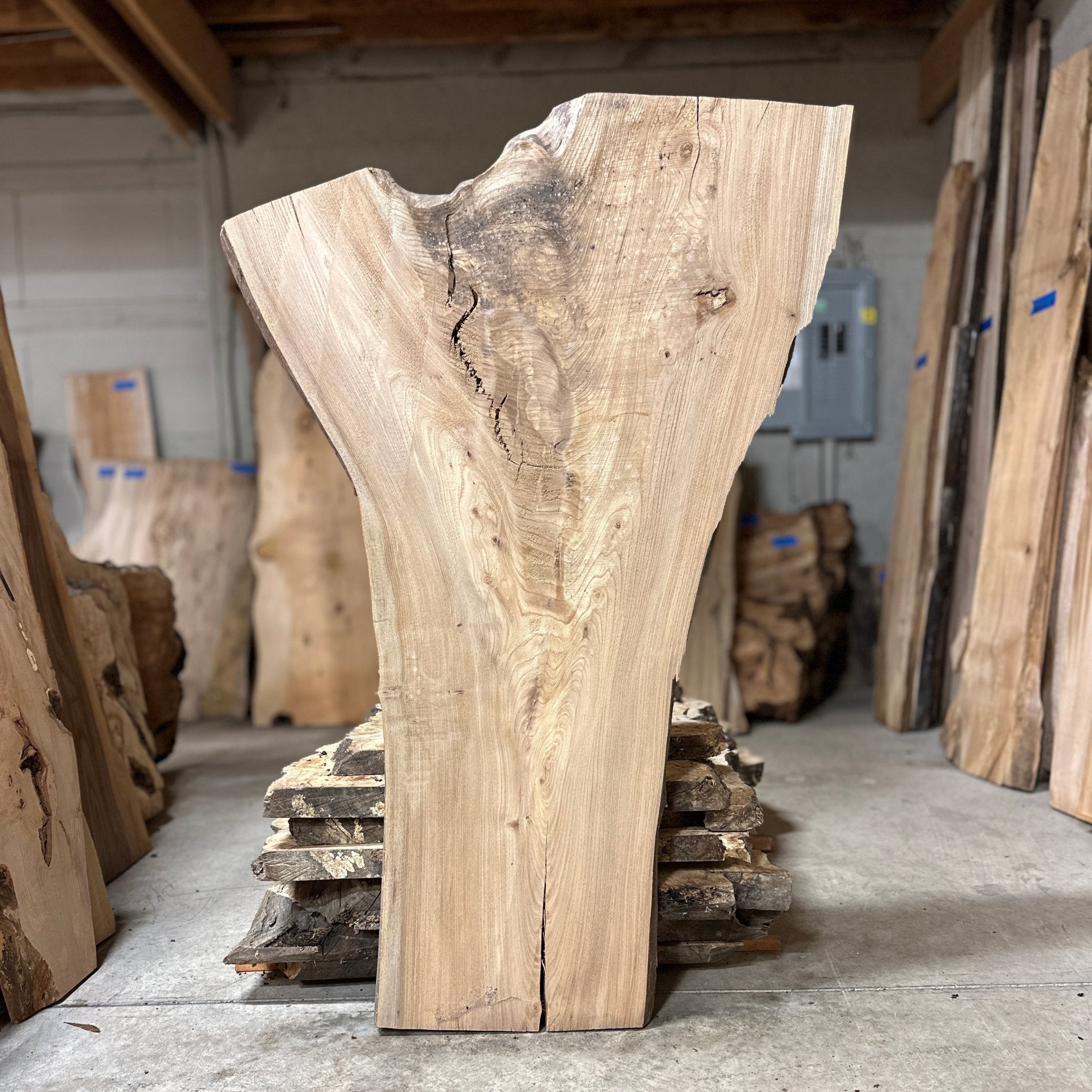 LiveEdge Elm | Elm | Hamilton Lee Supply