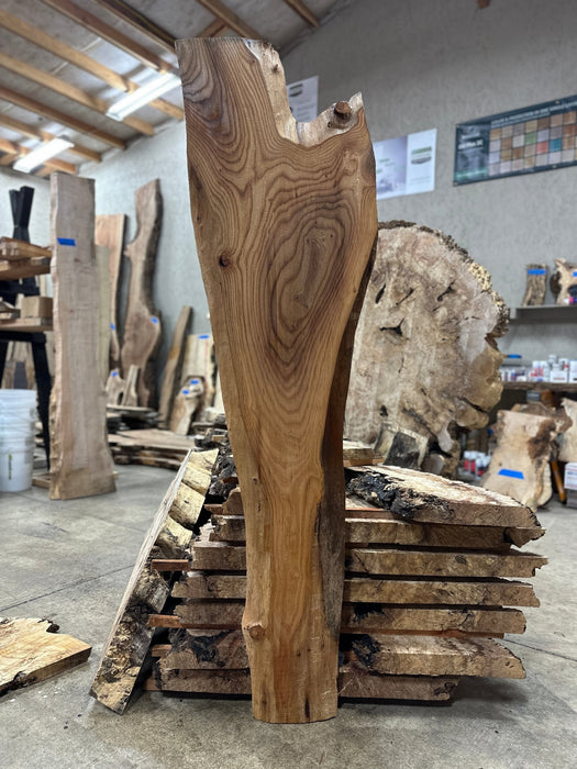 Coastal Woodworks | LiveEdge Elm | Elm | Hamilton Lee Supply