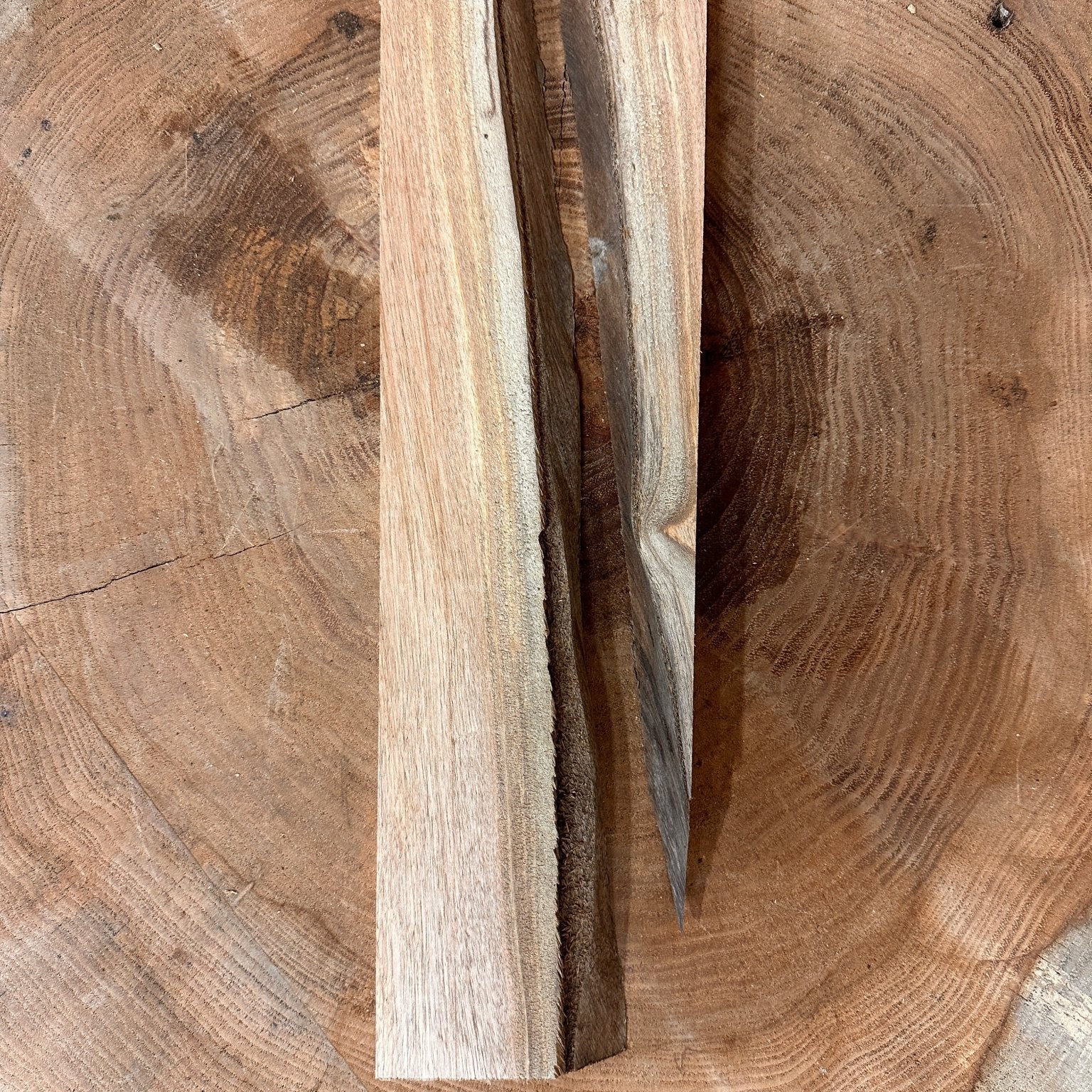 LiveEdge Elm Coaster Blank | Elm | Hamilton Lee Supply