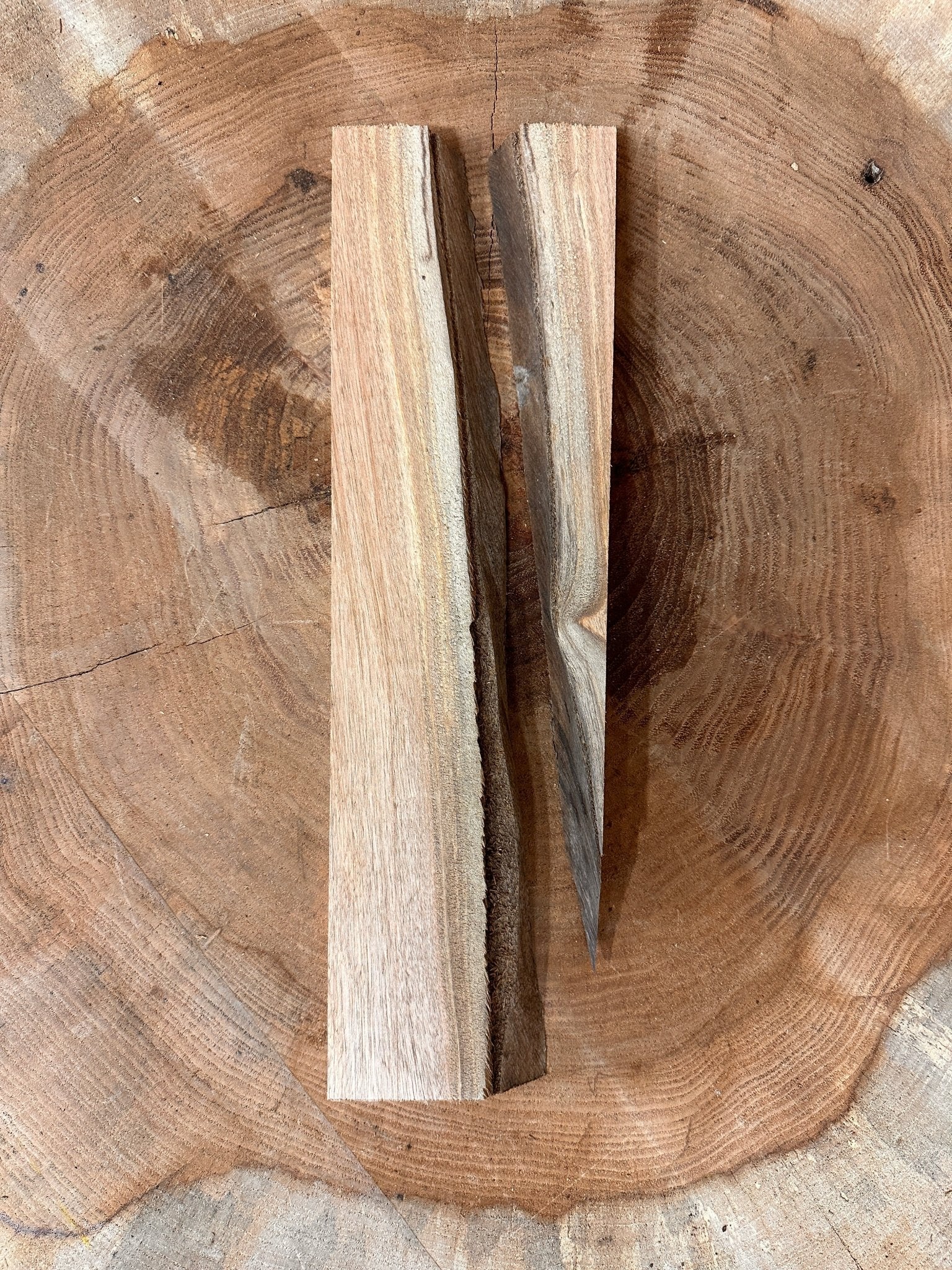 LiveEdge Elm Coaster Blank | Elm | Hamilton Lee Supply