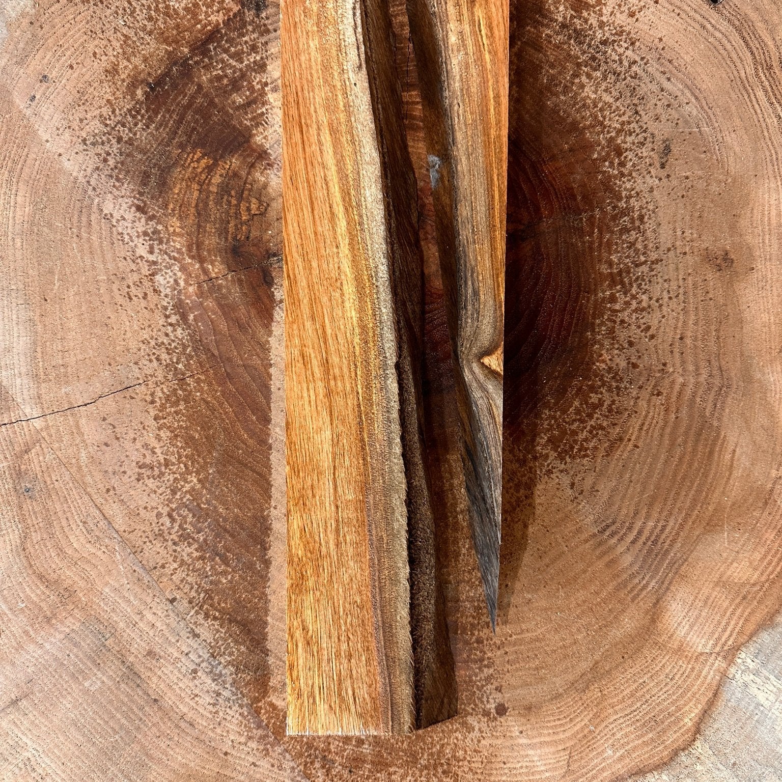 LiveEdge Elm Coaster Blank | Elm | Hamilton Lee Supply